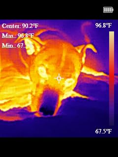 TOPDON TC004 Mini Handheld Thermal Imaging Camera, 240 x 240 TISR Resolution, -4°F to 842°F, 15-Hour Battery Life, 128 x 128 IR Resolution, 25Hz Infrared Camera, High/Low Temp Alerts, Auto Shutdown - Customer Photo 2
