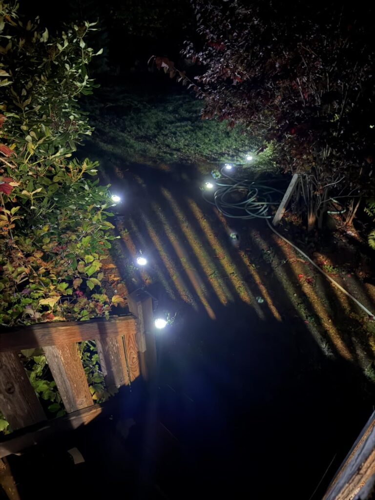 10 Best Solar-Powered Garden Lights