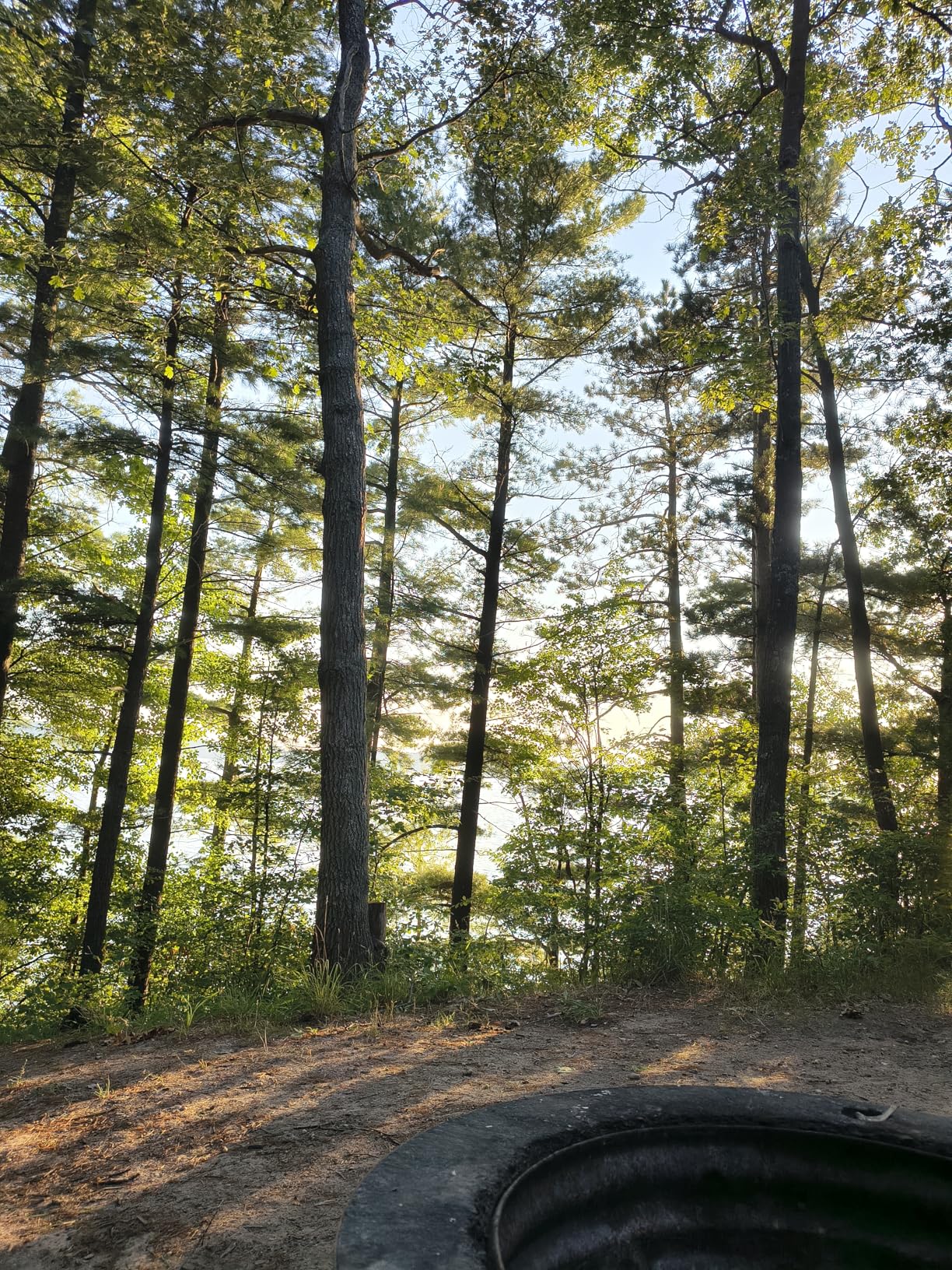 Motorola Edge 2025 | Unlocked | Made for US 8/256GB | 50MP Camera | Pantone Deep Forest - Customer Photo 4