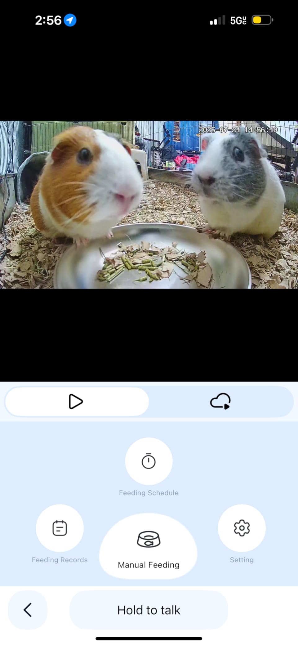 Frienhund 5L Automatic Cat Feeder with 2K HD Camera: 5G WiFi Automatic Dog Feeder with Night Vision,Cat Food Dispenser with Freshness for Multiple Pets,Detachable for Easy Clean-21 Cup (Sealed Outlet) - Customer Photo 2