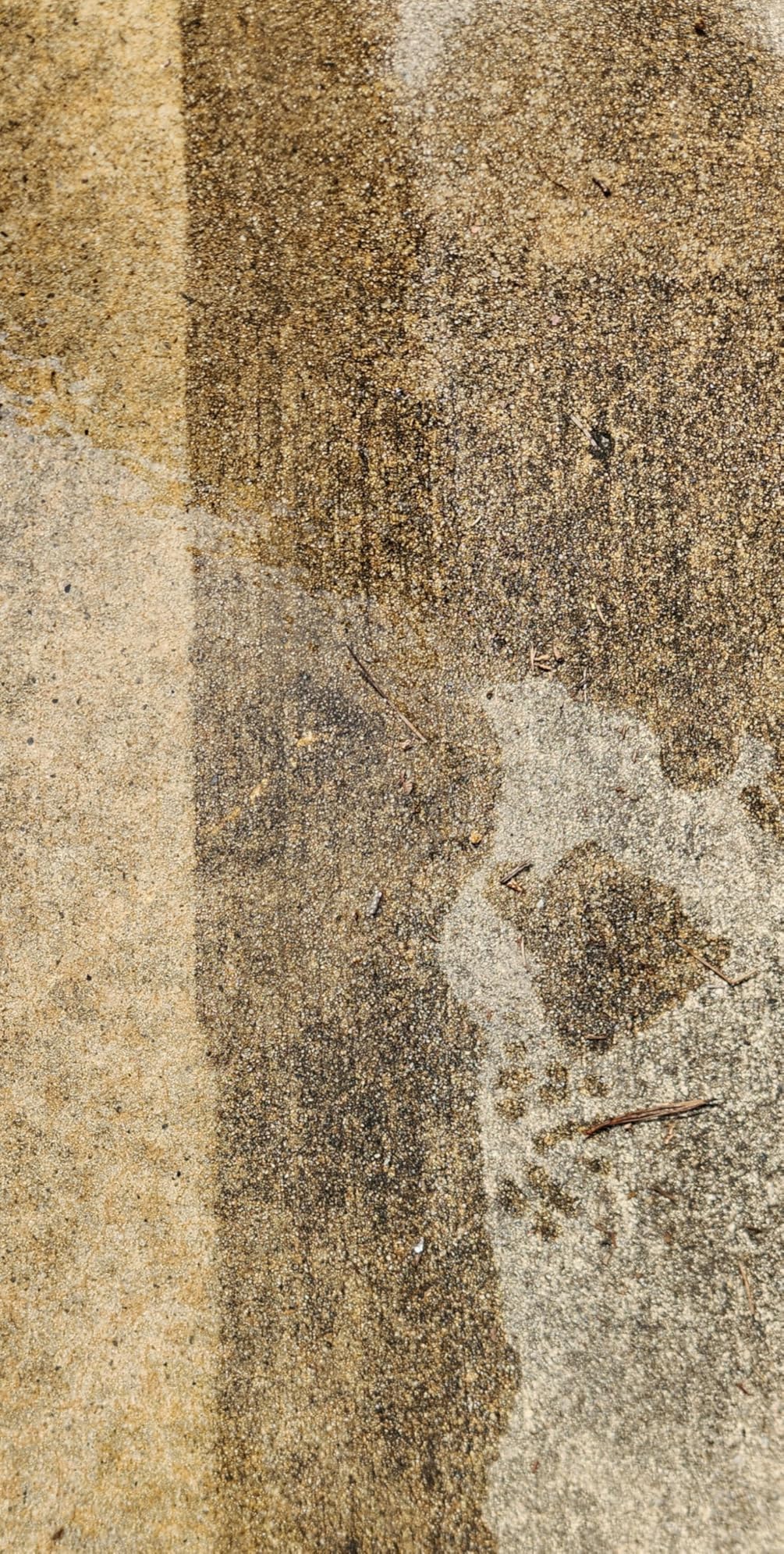 Product - Customer Photo 1