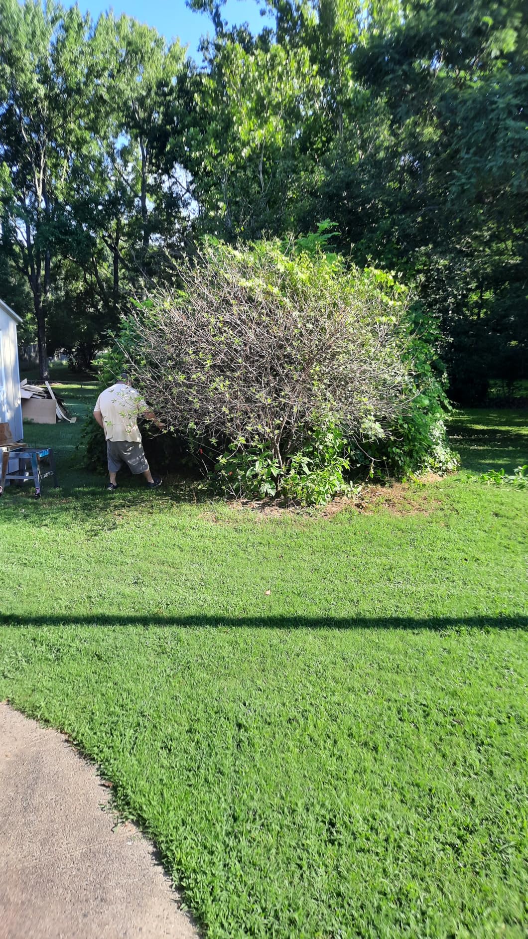 SENIX 144 cc Gas Lawn Mower, 21 inch 2-in-1 Push with Mulching and Side Discharge, 4-Cycle Engine, 6 Position Cutting Height Adjustment for Yard and Garden - Customer Photo 1