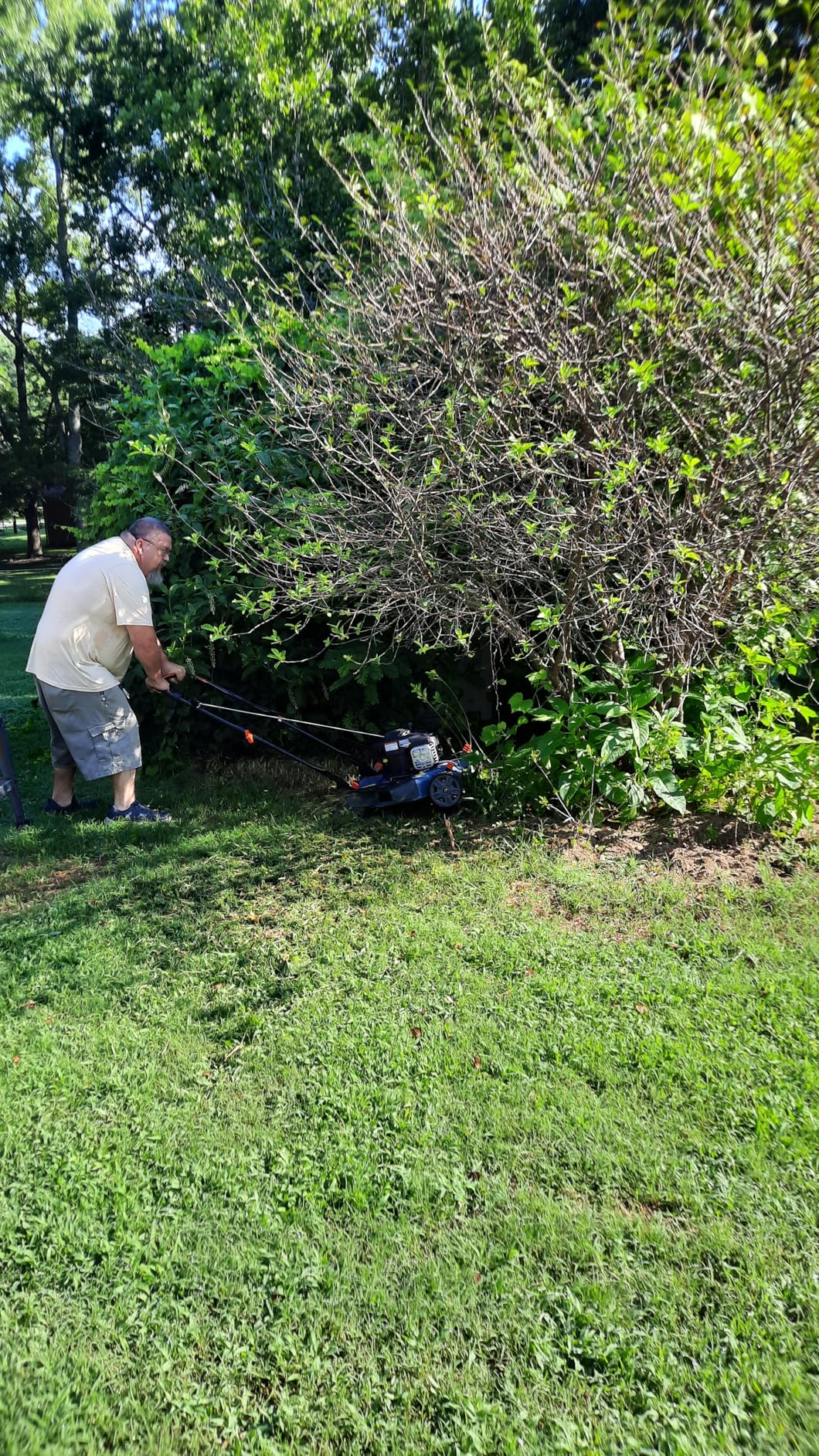 SENIX 144 cc Gas Lawn Mower, 21 inch 2-in-1 Push with Mulching and Side Discharge, 4-Cycle Engine, 6 Position Cutting Height Adjustment for Yard and Garden - Customer Photo 2