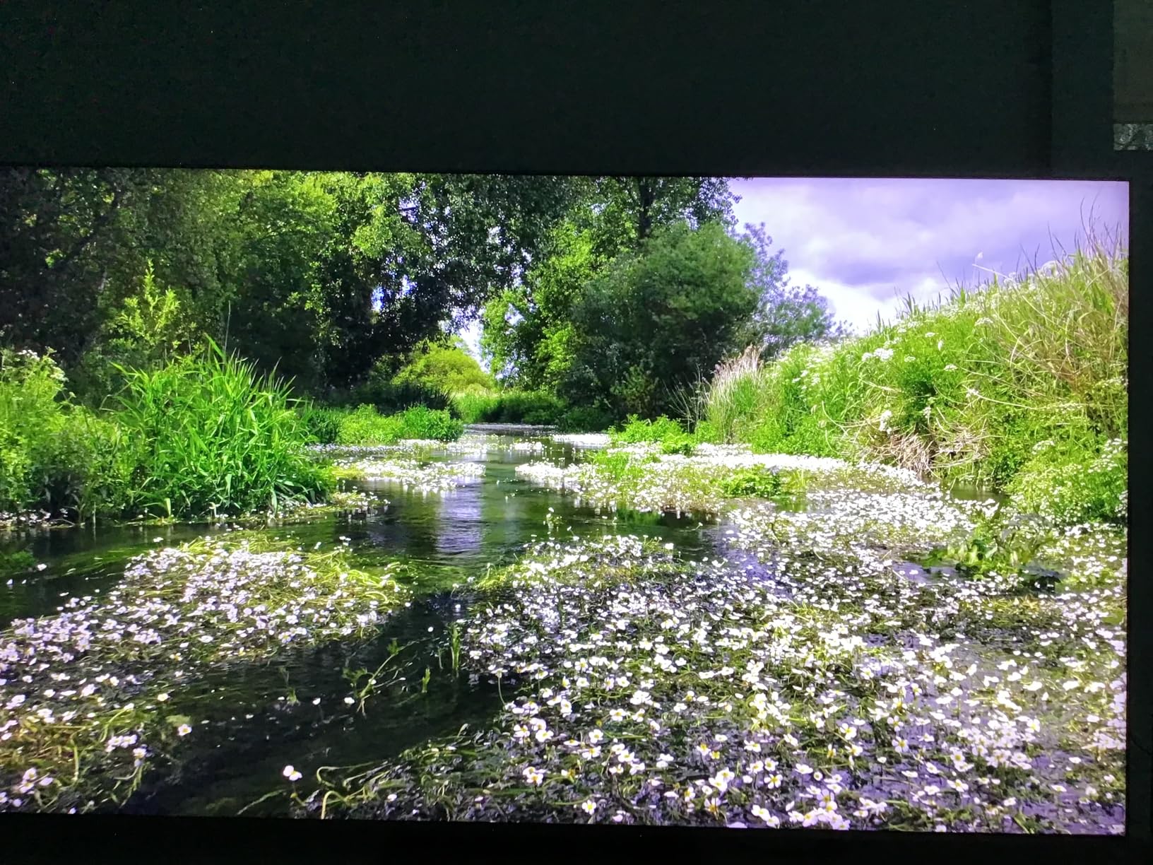 TCL 75 Inch Class QM8K Series | Mini LED QLED 4K HDR | 75QM8K, 2025 Model | 120HZ-144HZ Anti Reflective Wide Angle Screen Smart Google TV Dolby Atmos | Voice Remote Alexa Gaming Streaming Television Customer Review TCL 75 Inch Class QM8K Series | Mini LED QLED 4K HDR | 75QM8K, 2025 Model | 120HZ-144HZ Anti Reflective Wide Angle Screen Smart Google TV Dolby Atmos | Voice Remote Alexa Gaming Streaming Television - Customer Photo 1