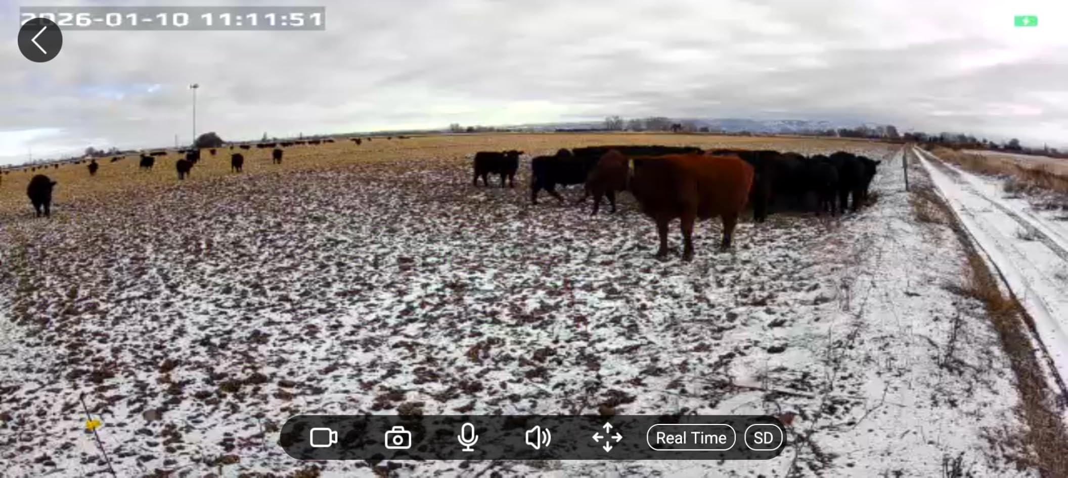 Solar Security Cameras Wireless Outdoor, 2K Pan/Tilt 360° View Solar/Battery Powered WiFi Cameras for Home Security with AI Motion Detection, Spotlight, 2-Way Audio, Siren, IP65, SD/Cloud Storage - Customer Photo 1