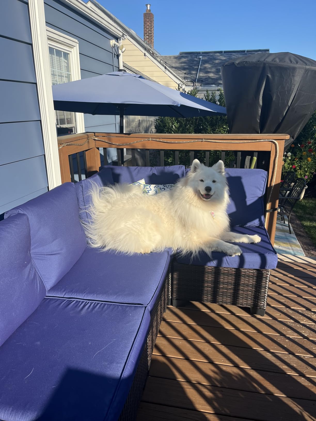 7 Piece Outdoor Patio Furniture Set, Outdoor Sectional Furniture, Rattan & Wicker Modern Modular Conversation Set Sectional Sofa W/Water Resistant Washable Thick Cushions and Coffee Table, Brown/Beige - Customer Photo 2