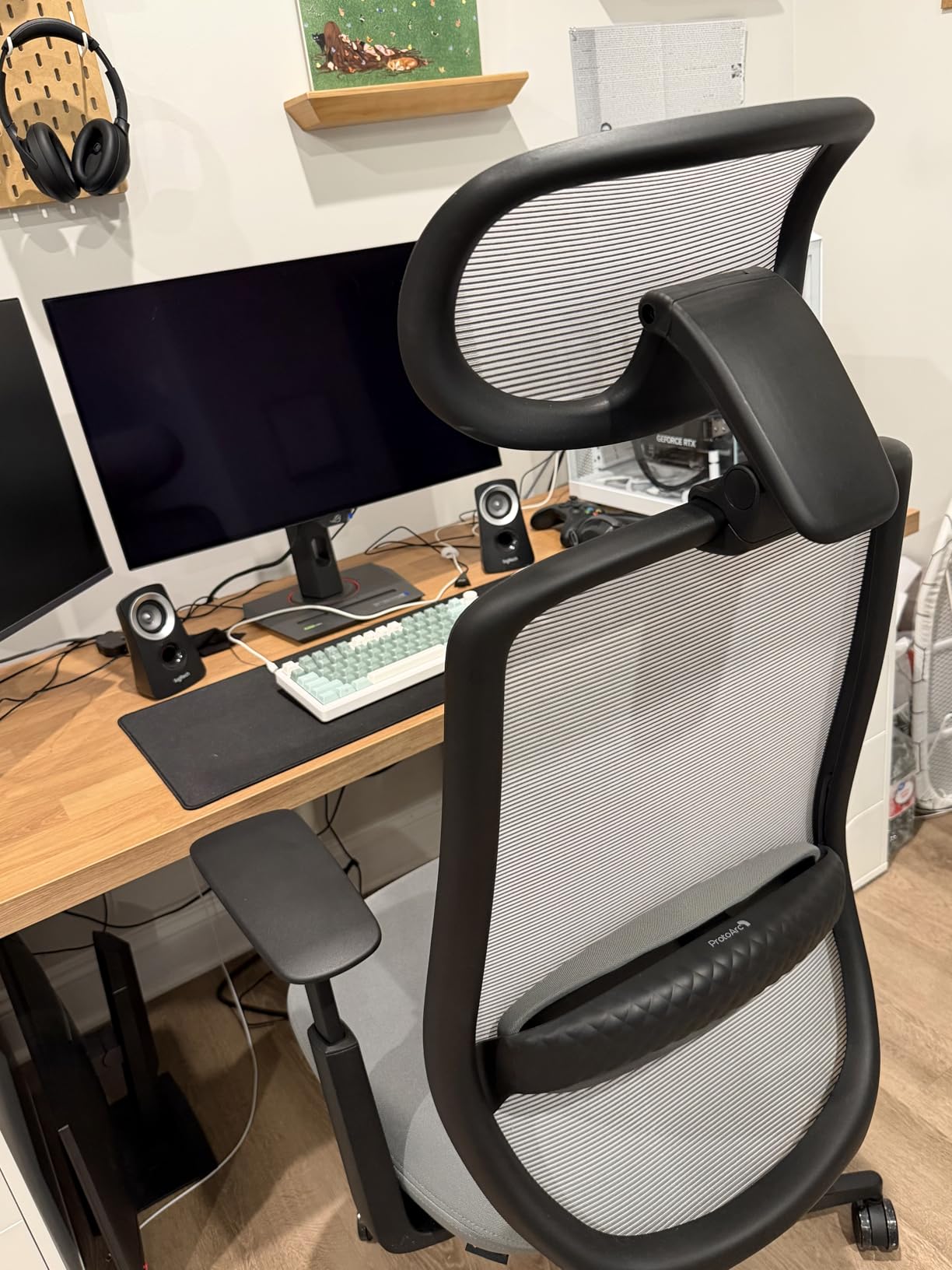 ProtoArc Ergonomic Office Chair – EC200 High-Back Mesh Computer Chair with Lumbar Support, 3D Adjustable Headrest & Sliding Seat for 8+ Hour Comfort, Big & Tall Home Office Desk Chairs - Black - Customer Photo 1