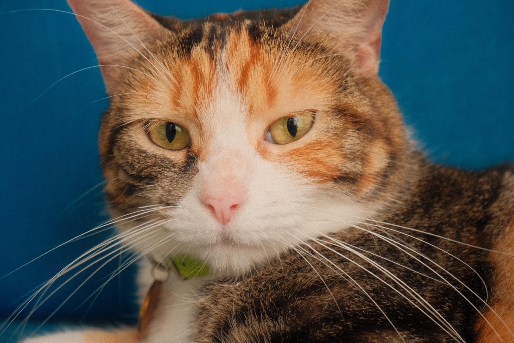 FUJIFILM X-M5 Mirrorless Digital Camera XC15-45mmF3.5-5.6 OIS PZ Lens Kit - Silver - Customer Photo 1