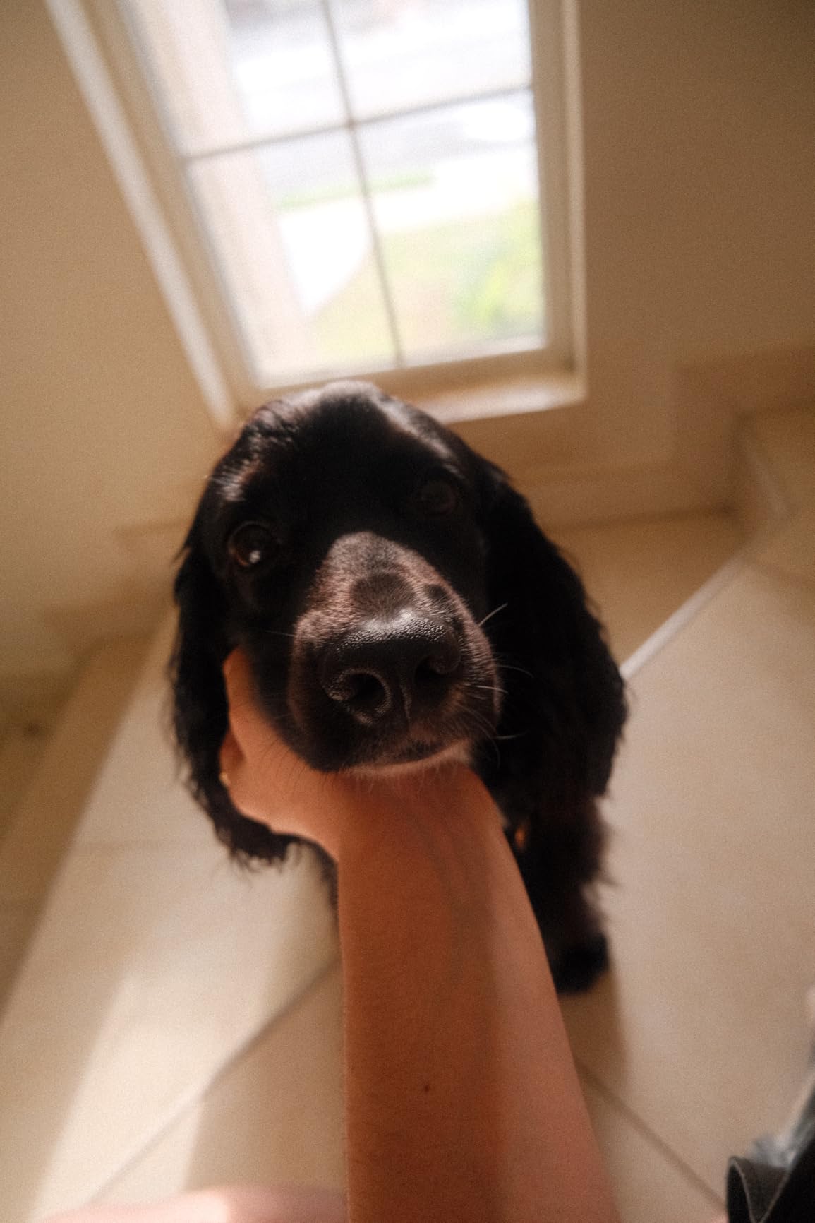 FUJIFILM X-M5 Mirrorless Digital Camera Body – Silver - Customer Photo 2