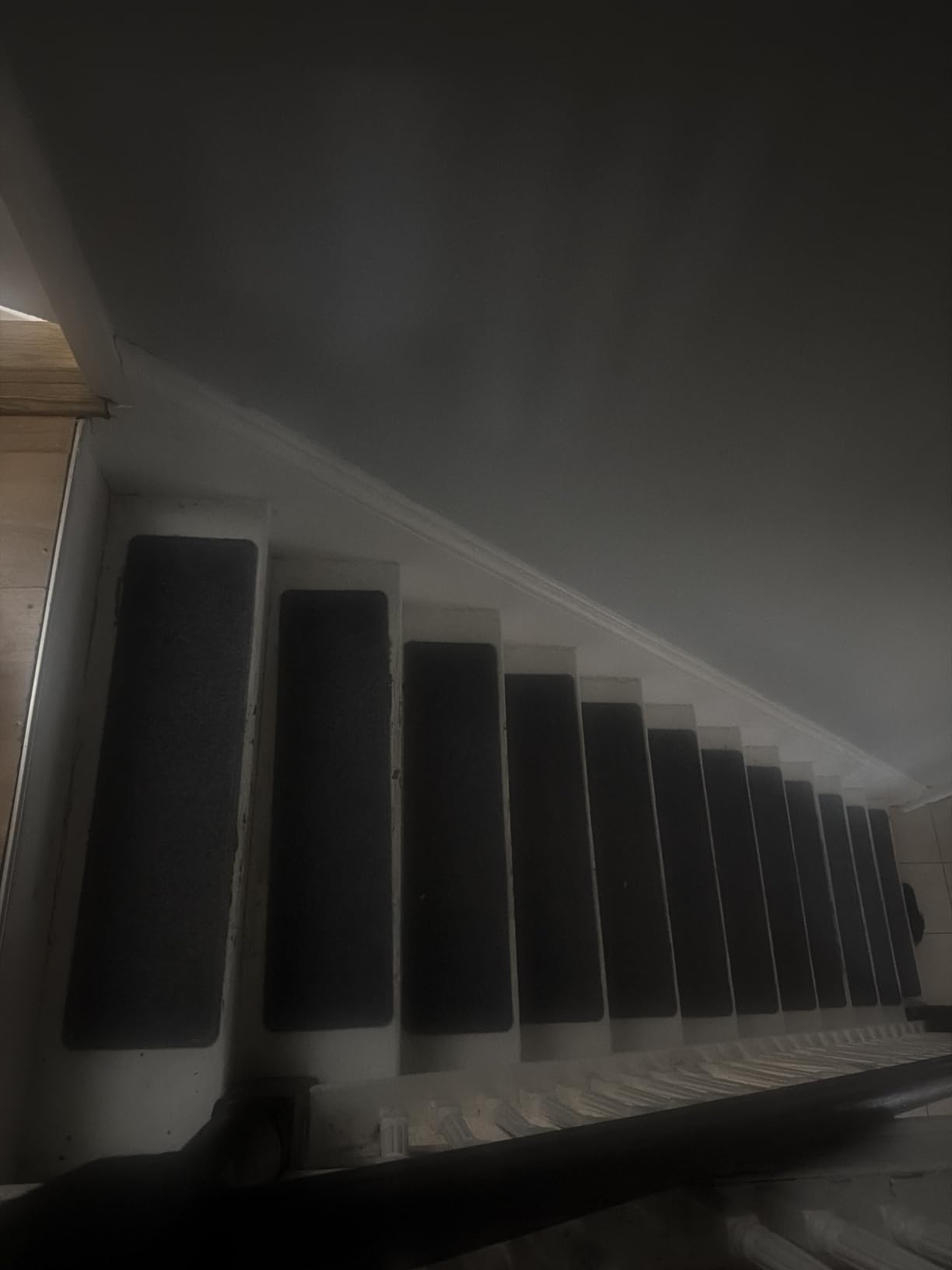 DailyCuddles Stair Treads for Wooden Steps 15 PCS - 8'' x 30'', Non Slip Stair Runner, Machine Washable Stair Rugs Strips for Kids Pets and Elderly, Indoor Carpet for Stairs (Grey) - Customer Photo 1