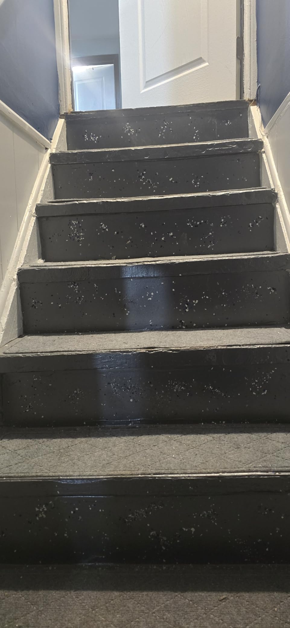 DailyCuddles Stair Treads for Wooden Steps 15 PCS - 8'' x 30'', Non Slip Stair Runner, Machine Washable Stair Rugs Strips for Kids Pets and Elderly, Indoor Carpet for Stairs (Grey) - Customer Photo 2