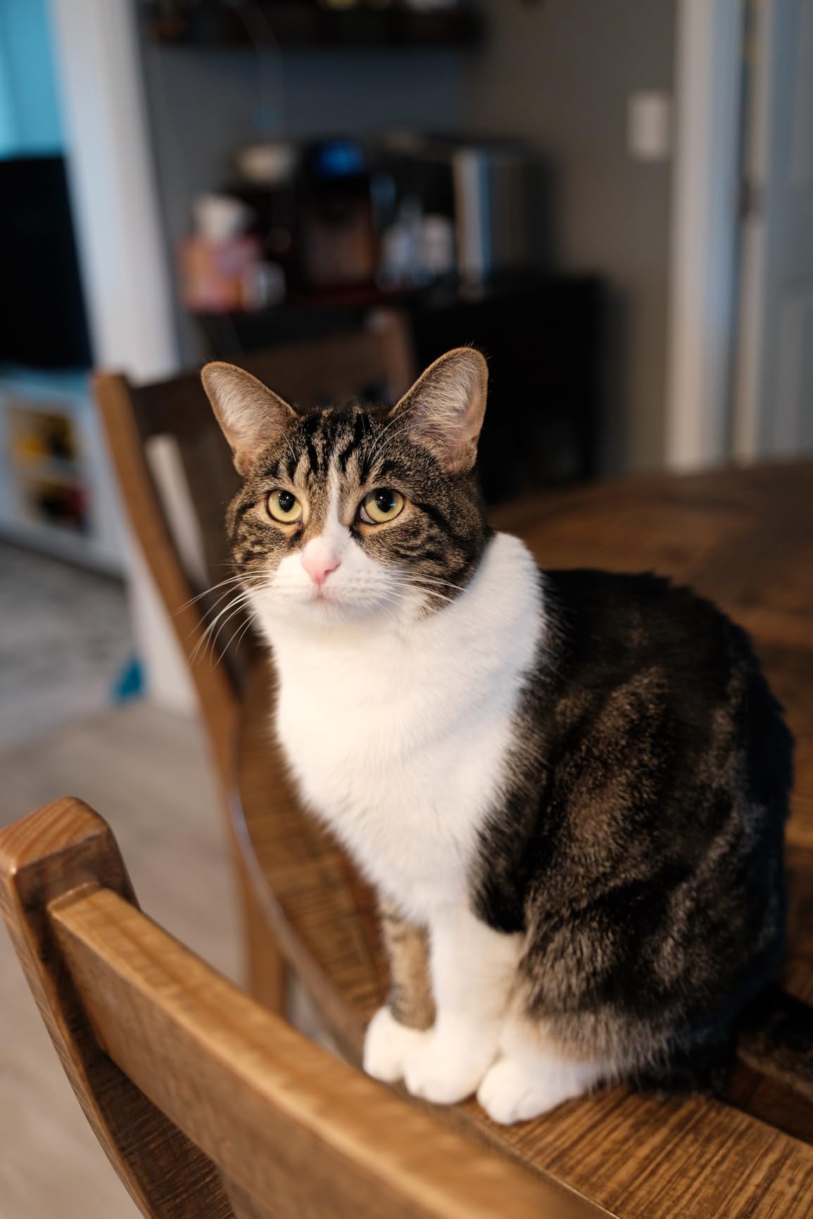 Sigma 17-40mm F1.8 DC | Art for Sony E - Customer Photo 4