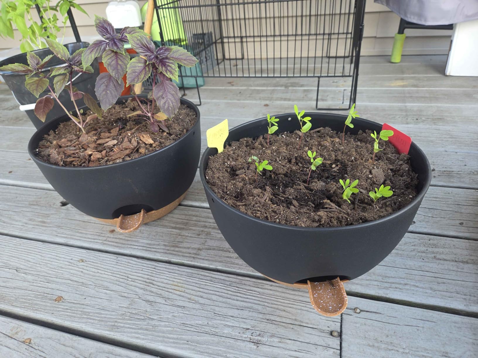 12 Inch Hanging Baskets 2 PC with Chains, Self-Watering Hanging Planters for Indoor Outdoor Plants, Plastic Hanging Flower Pots,Black - Customer Photo 1