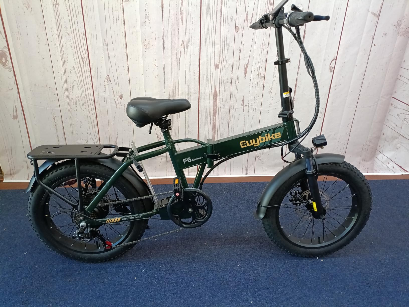 bluebiko 1000W Folding Electric Bike, 48V 20AH Large Removable Battery E Bike, 30+MPH, 80 Miles Max Range, 20