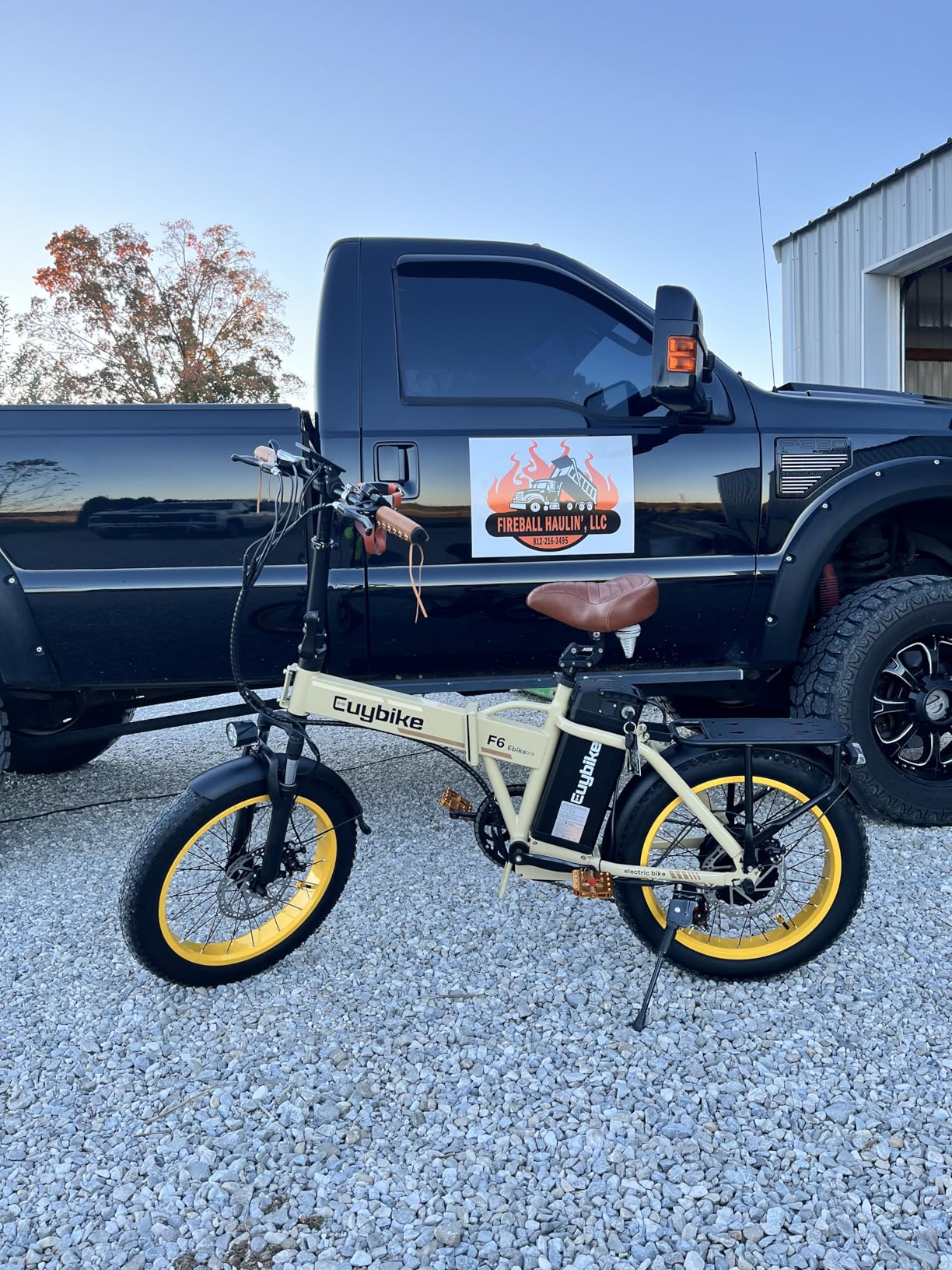 bluebiko 1000W Folding Electric Bike, 48V 20AH Large Removable Battery E Bike, 30+MPH, 80 Miles Max Range, 20