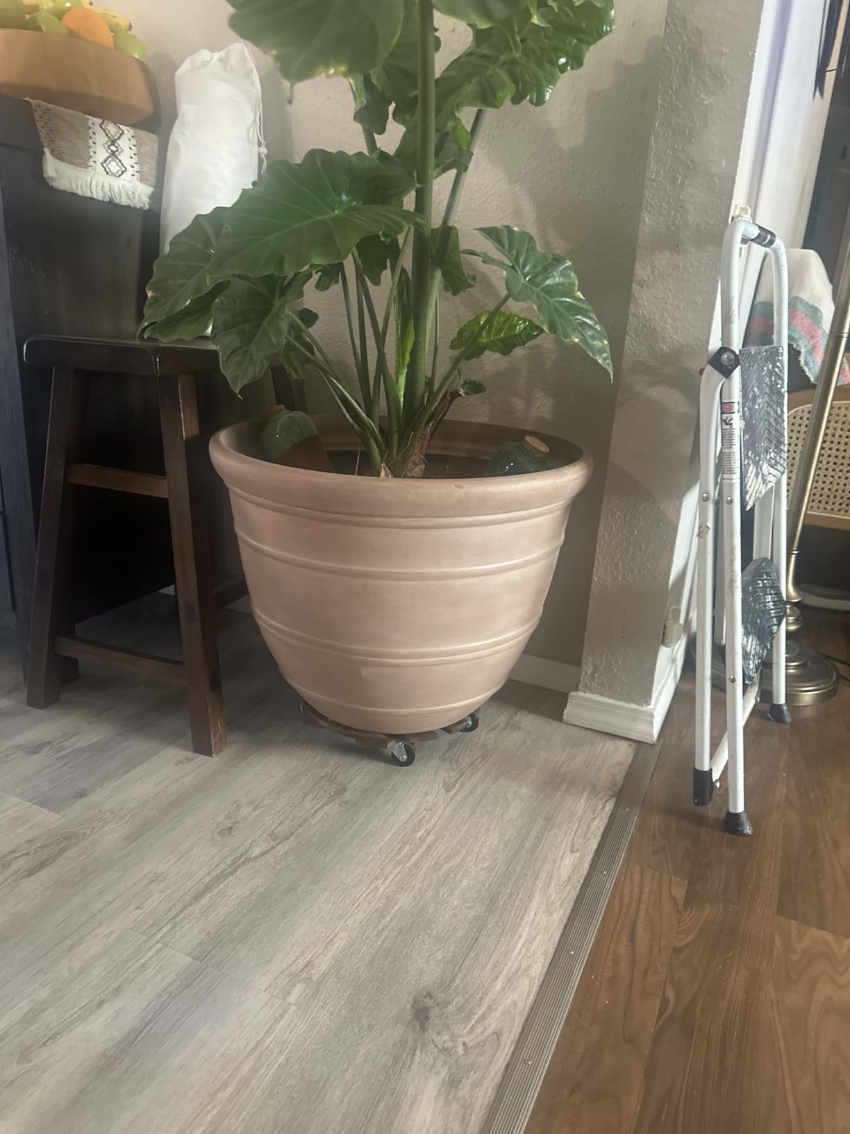 2 Pack Plant Stand Indoor and Outdoor, 12IN Premium Wooden Plant Caddy with Wheels, Heavy Duty Plant Stands with 360 Lockable Wheels, Classic Plant Cart - Customer Photo 1