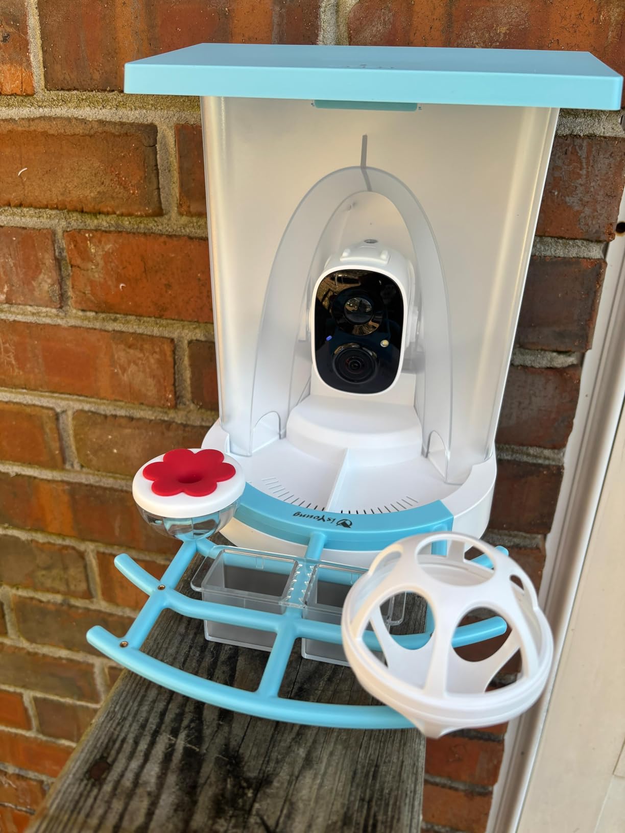 isYoung Smart Bird Feeder with Camera, 2.5K QHD, AI Identify 16000+ Birds, Dual Solar Panel, AI Auto-Capture & Motion Detection, IP65 Weatherproof customer photo 1