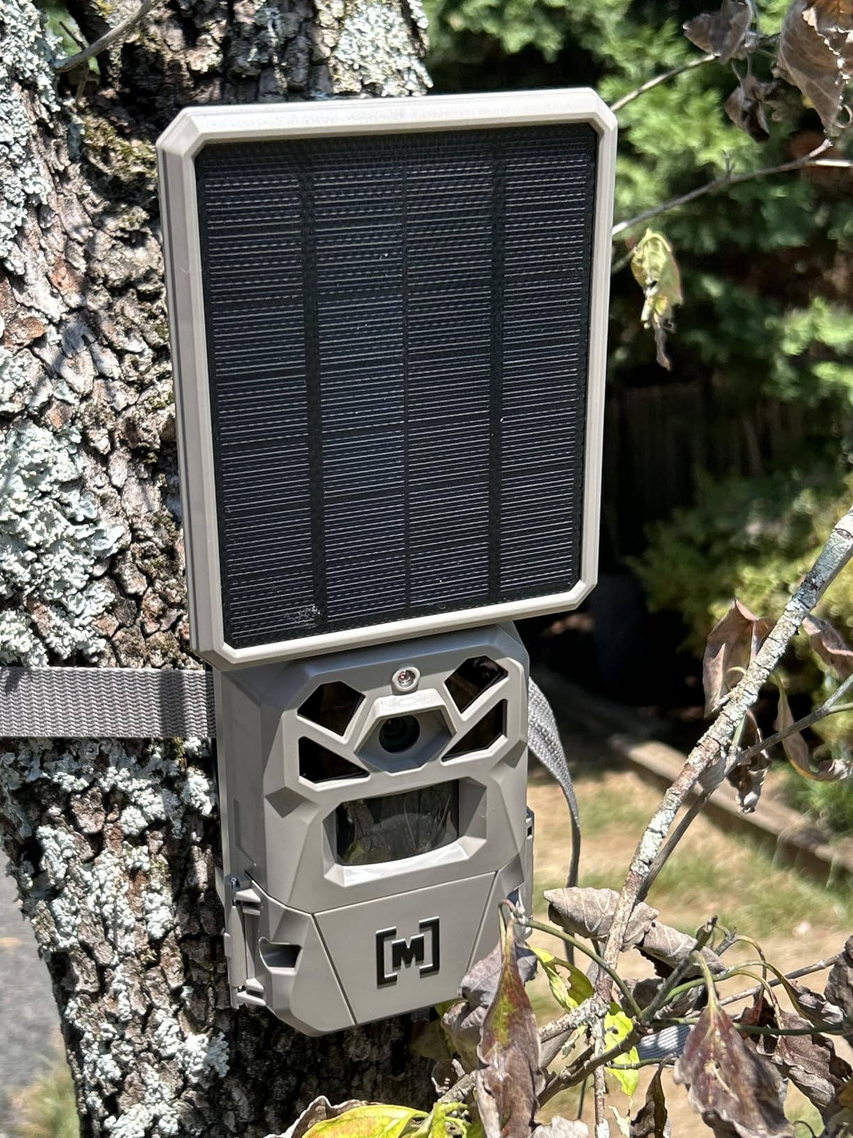 Moultrie Edge Solar Cellular Trail Camera - Integrated Solar Panel with Battery - 40MP - 1080p Video - Low-Glow Flash - Multi-Carrier Auto-Connect - Built-in Memory - 0.4s Trigger Speed - Customer Photo 1