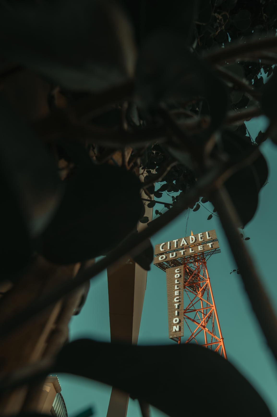 VILTROX 14mm f4.0 FE, AF 14mm f/4 E Mount Full Frame Lens for Sony e-Mount customer photo 1