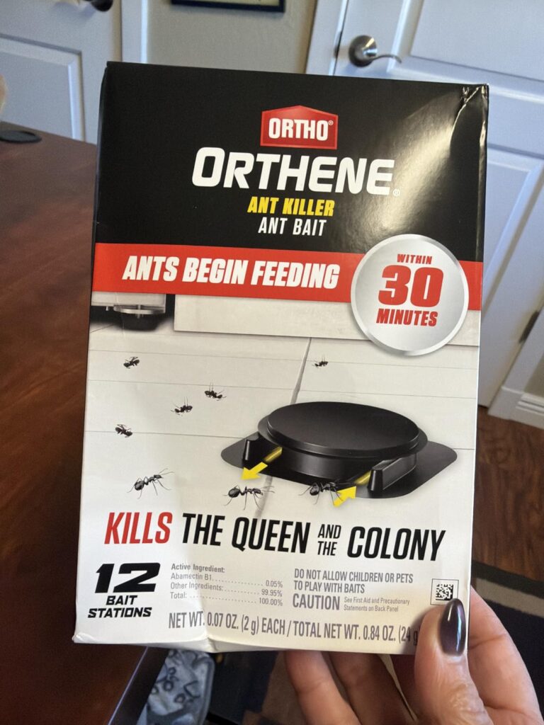 12 Best Ant Bait Stations