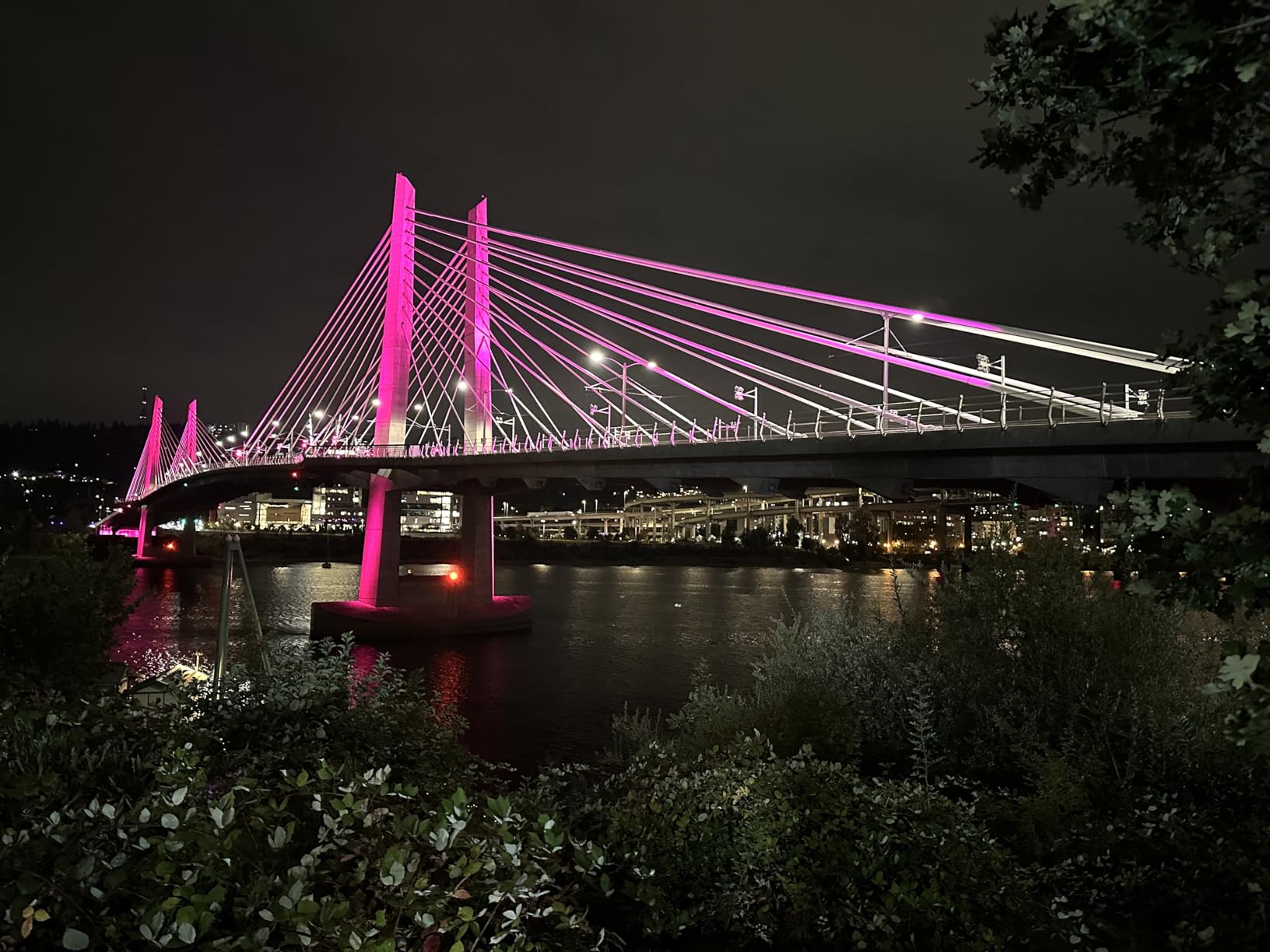 Nikon NIKKOR Z 24-70mm f/2.8 S II Lens - Customer Photo 2