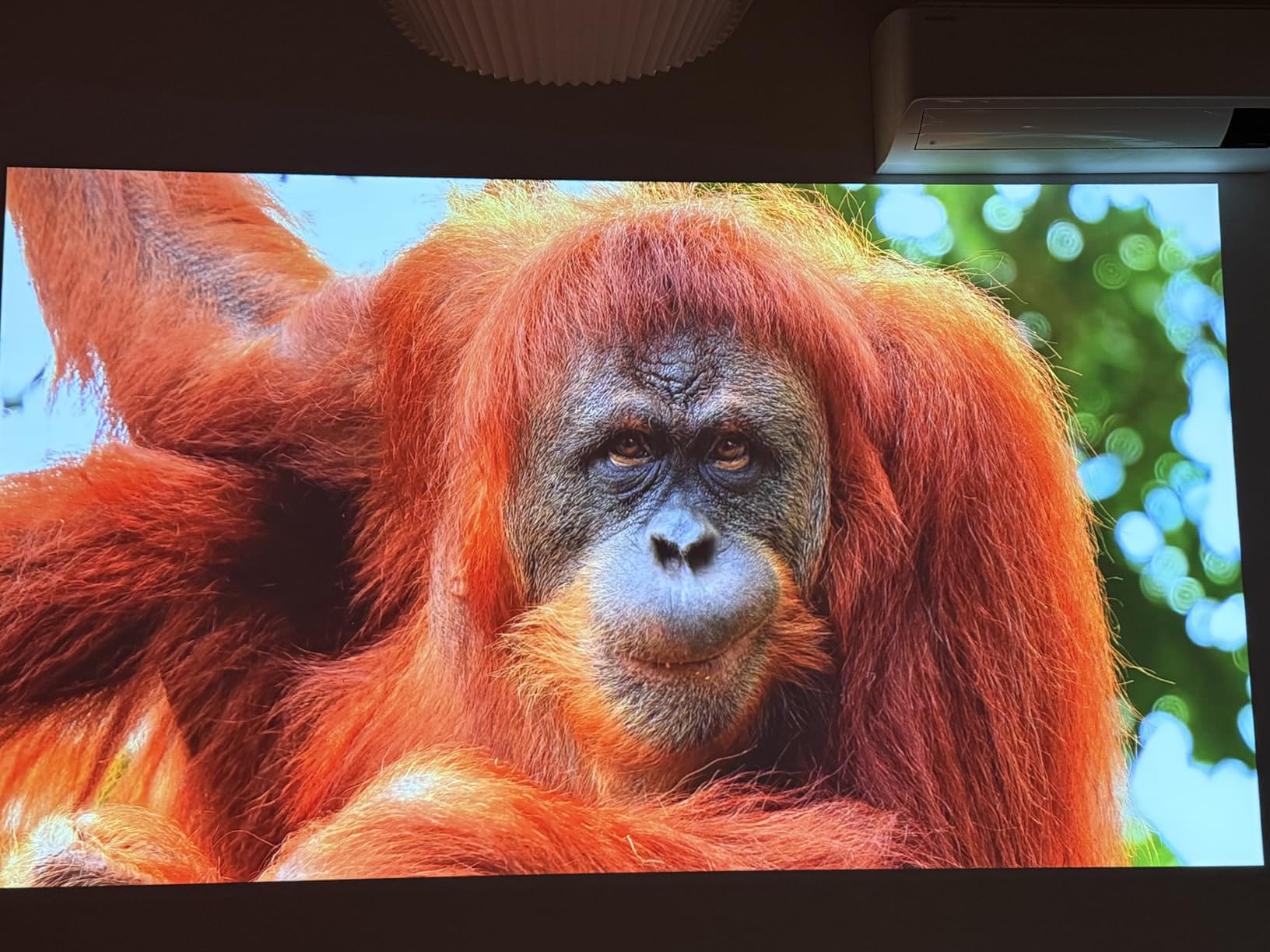 Epson Lifestudio Flex Plus 4K PRO-UHD Portable Lifestyle Projector 1,000 Lumens of Color and White Brightness, Sound by Bose, Google TV, 3-Chip 3LCD Triple Core Engine, Projection Studio App - Customer Photo 2