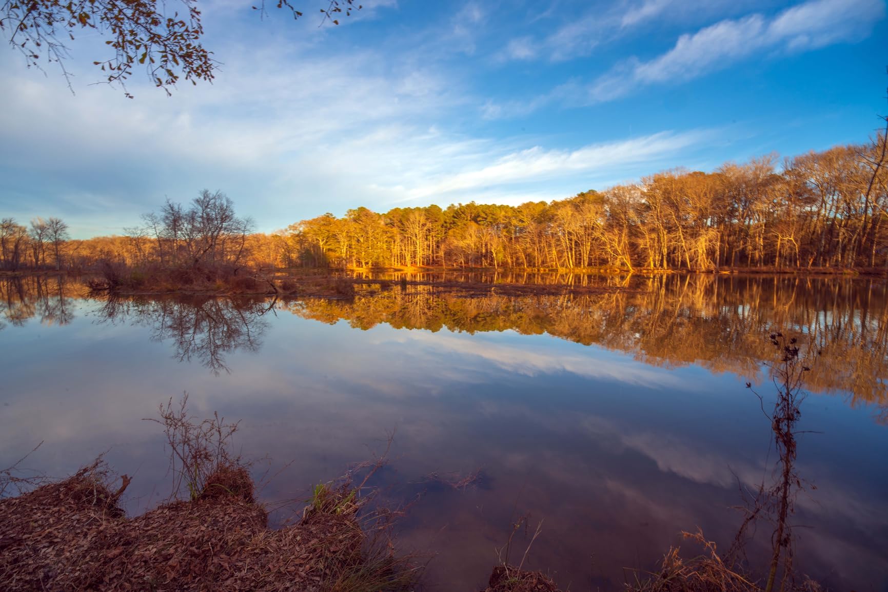 VILTROX 14mm F4.0 FE-Mount Lens for Sony, Full Frame Auto Focus Ultra-Wide Angle Prime Lens - Customer Photo 2