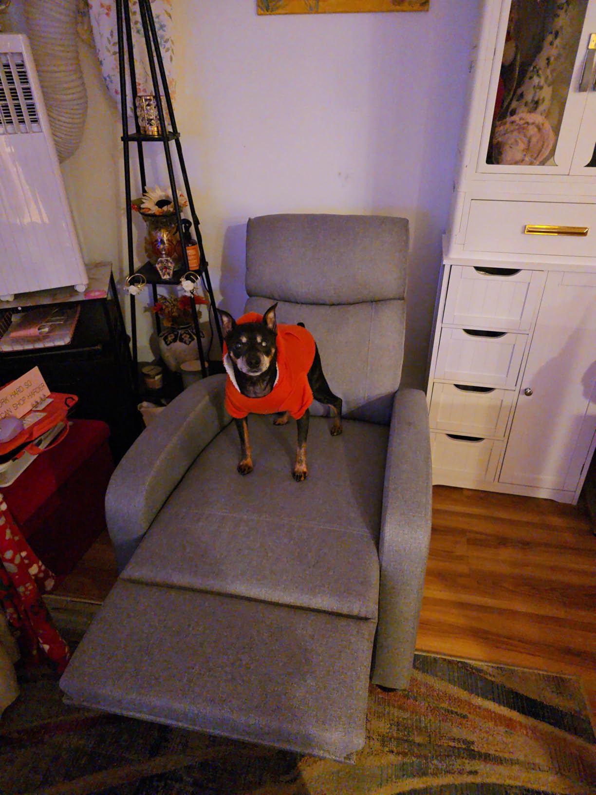 Sweetcrispy Recliner Chair Fabric Recliner Sofa No Massage, Home Theater Seating with Lumbar Support, Adjustable Push Back Overstuffed High-Density Sponge Reclining for Living Room, Slate Gray - Customer Photo 2