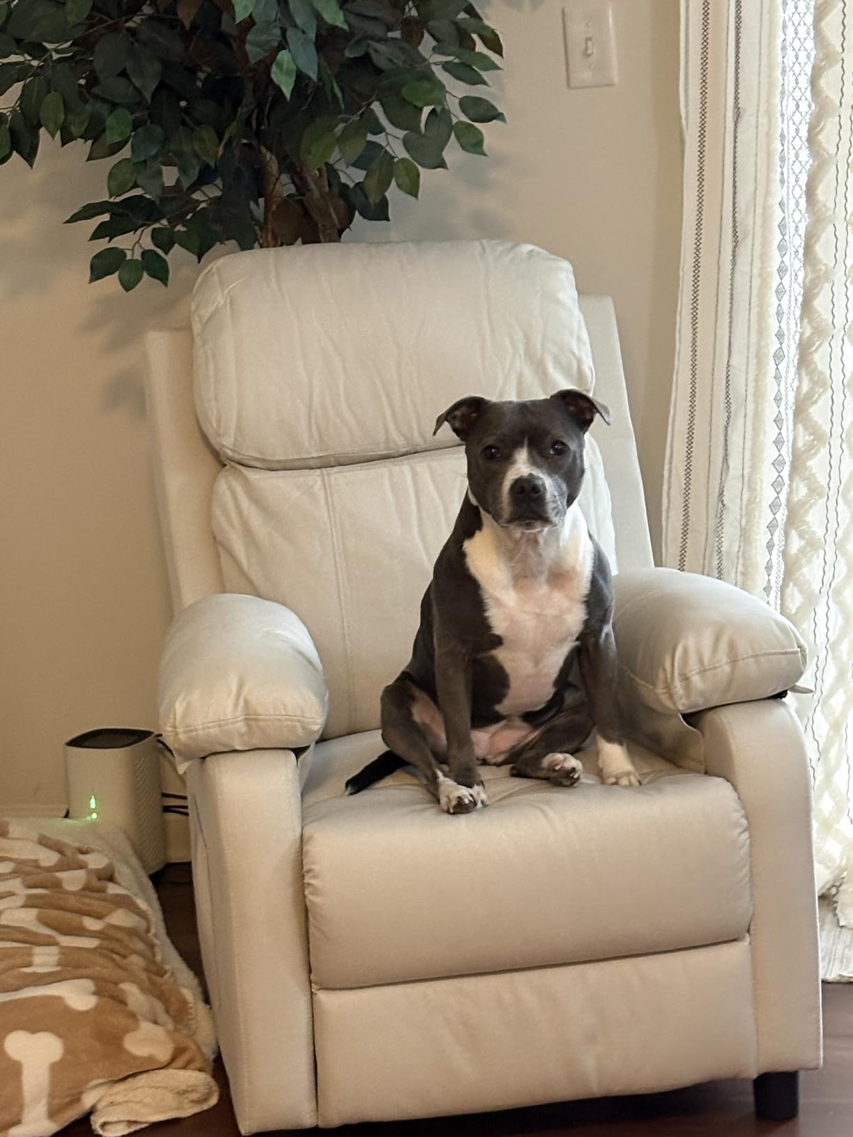 Korser Recliner Chair, Living Room Chairs for Adults, Padded Deep Seat Reading Chair with Side Pockets, Small Recliners for Small Spaces, Lounge Chair for Living Room, Bedroom, and RV (Linen) - Customer Photo 1