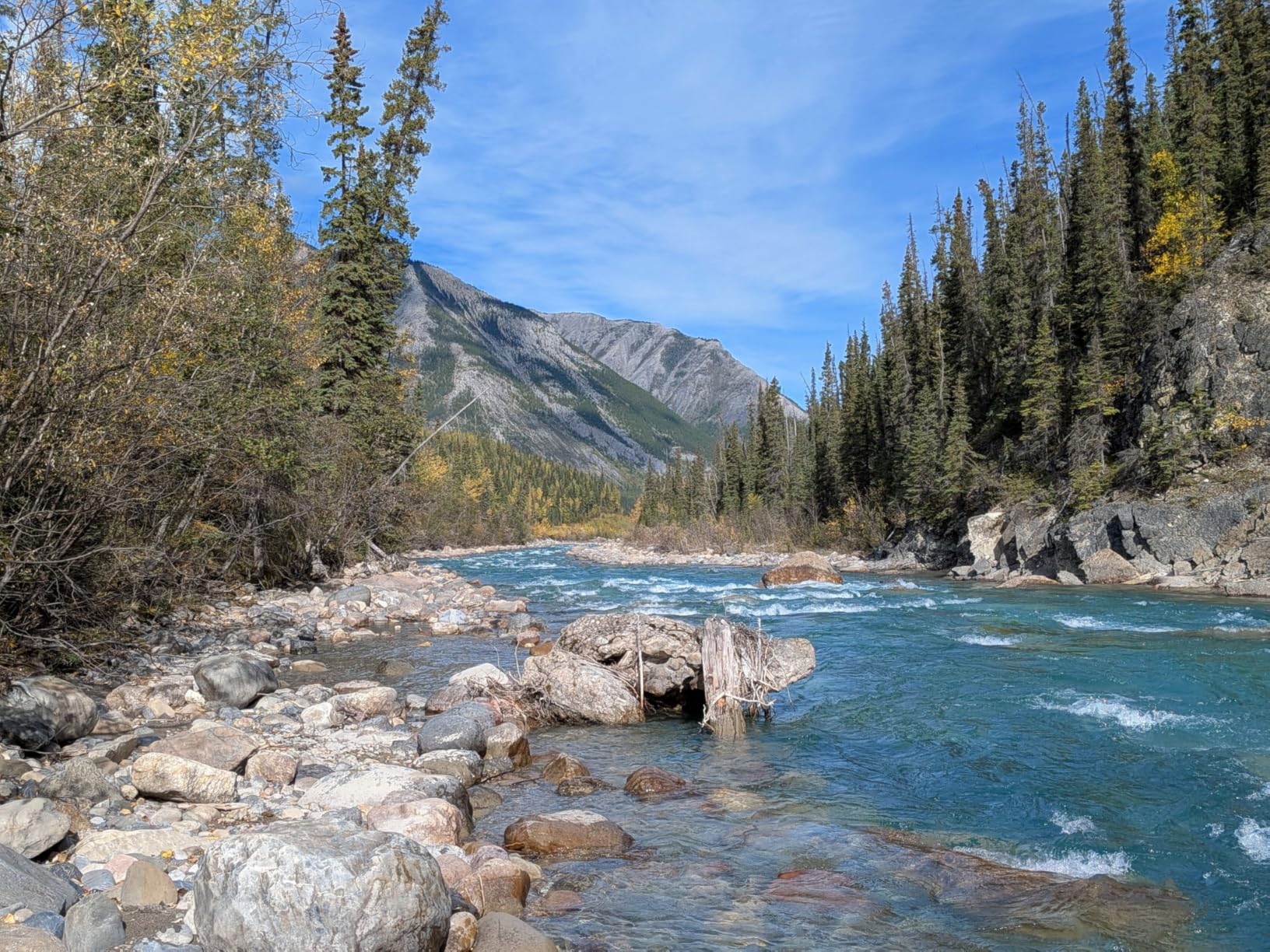 OnePlus 15, 12GB RAM + 256GB Storage, Dual-SIM, Unlocked Android Smartphone, Snapdragon 8 Elite Gen 5, 7300mAh Battery, Infinite Black - Customer Photo 2