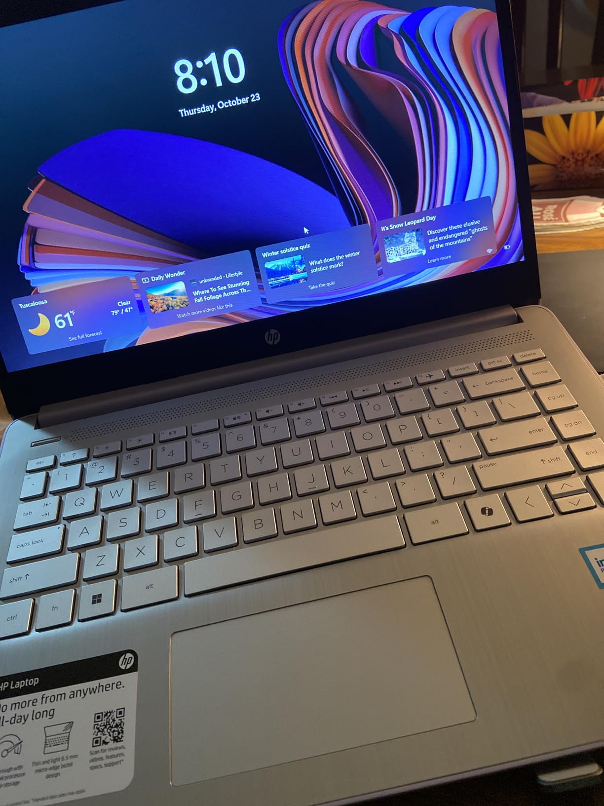 HP 14 Inch Laptop Student Business, Microsoft 365, Copilot AI, Intel N150, 16GB RAM, 1.1TB Storage(128GB UFS+1TB Cloud Storage), 11-Hr Long Battery Life, Sliver Laptop, Alpacatec Accessories - Customer Photo 1