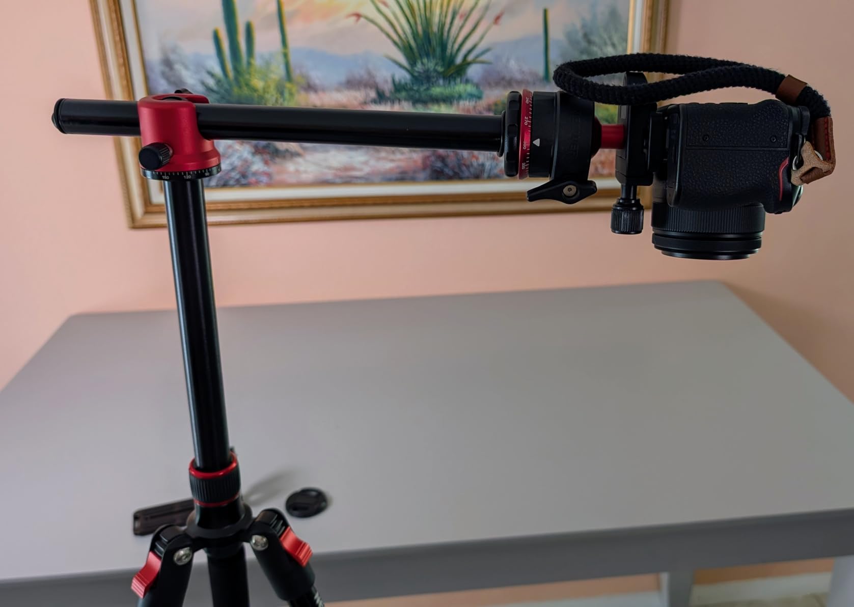 NEEWER Basics Carbon Fiber Travel Tripod Monopod, 64