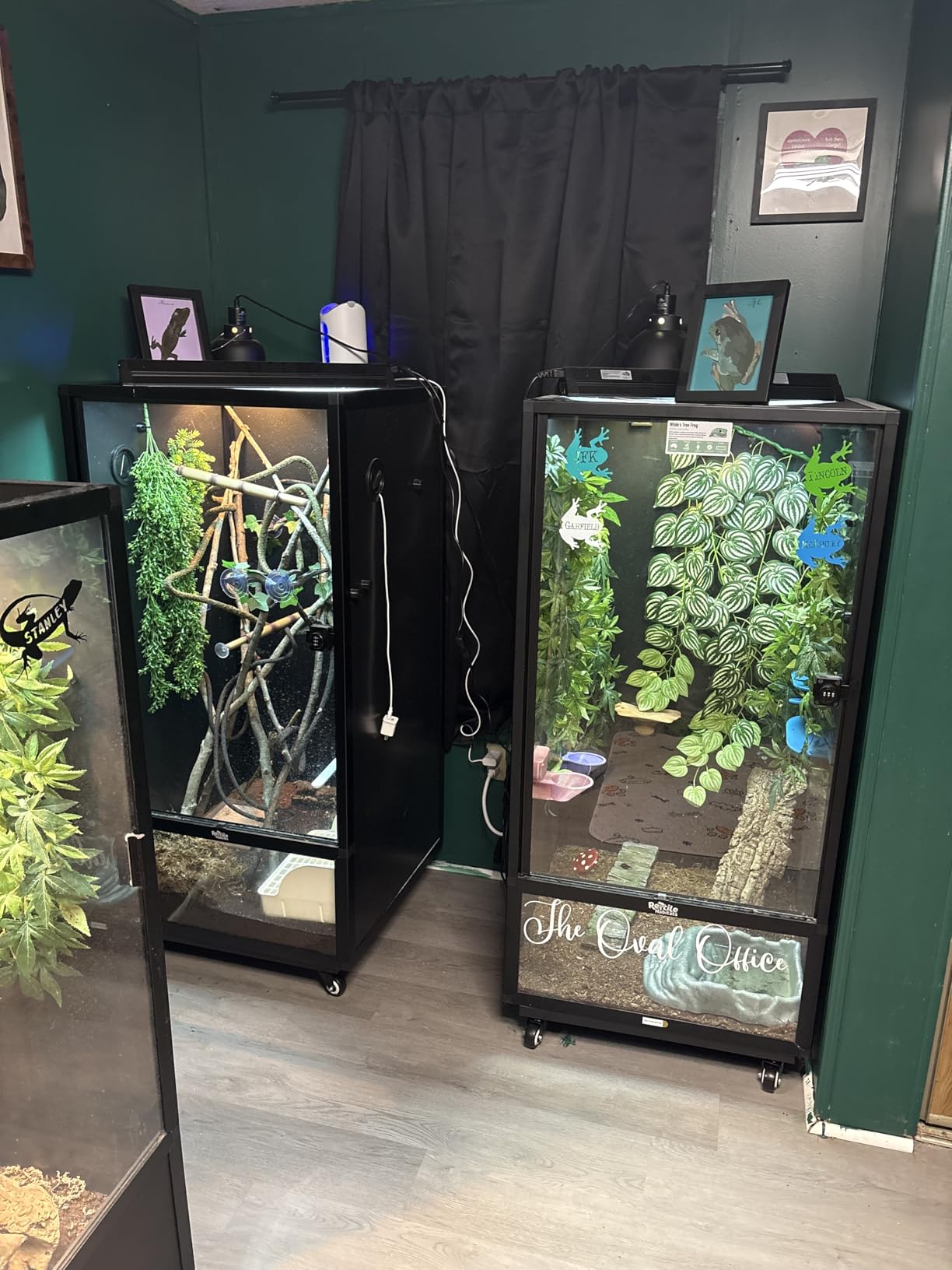 30 Inch Plant Caddy with Wheels Heavy Duty,Extra Large Metal Rolling Plant Stand with 5 Industrial Caster, Square Plant Dolly for Large Pots Plants,Planter Rollers for Indoor Outdoor Use - Customer Photo 2