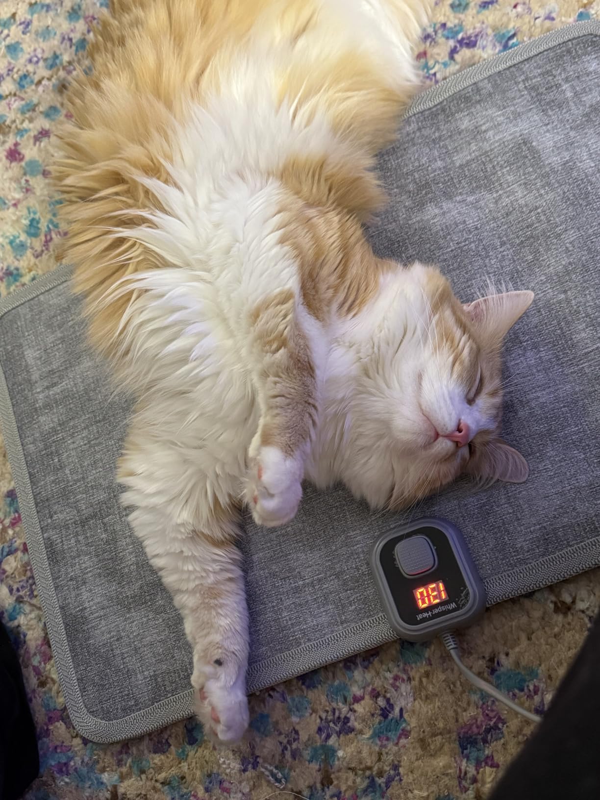 WhisperHeat Heated Floor Mat – Electric Tap-to-Activate Foot & Floor Warmer- Silent, Energy-Efficient Underfoot Heating Mat - Customer Photo 2