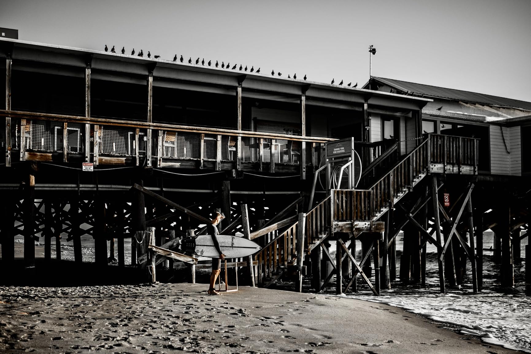 VILTROX AF 50mm F1.4 Pro FE Lens for Sony Full Frame Autofocus Camera Lens Compatible with Sony E-Mount Mirrorless Cameras a7 a7II a7III a7R a7RII a7RIII a7RIV a7S a7SII a9 a7C customer photo 2