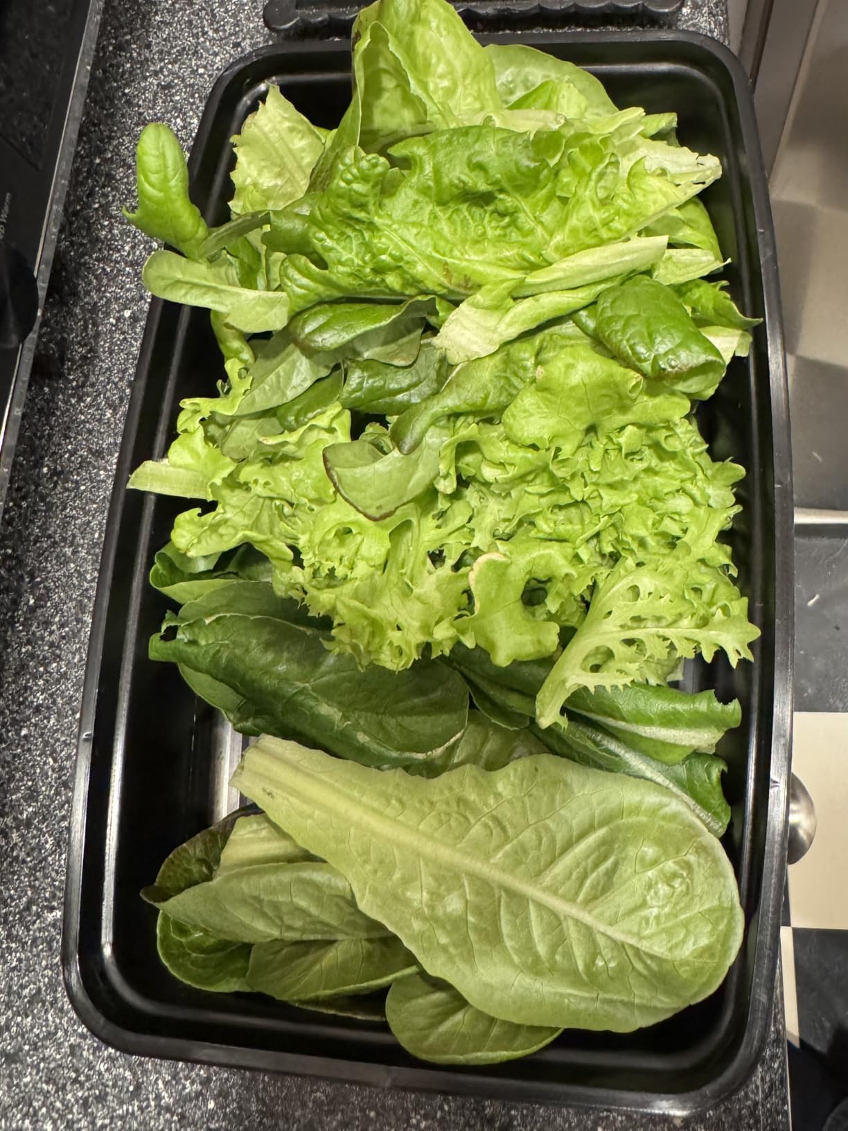 Gardyn Studio 1 Vertical Hydroponics Growing System Kit - 16 Non-GMO Plants, Herbs, Vegetables - Tower Garden - Hydroponic Herb Garden Planter Indoor Kit - Indoor Gardening System with LED Grow Lights - Customer Photo 2