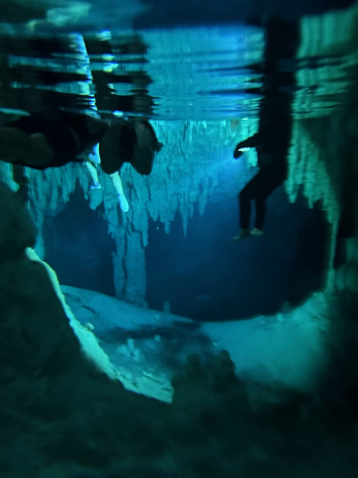 4K Underwater Camera 64MP Autofocus 16FT Waterproof Camera Dual-Screen Selfie 16X Underwater Camera for Snorkeling Waterproof Compact Floatable Digital Camera with 32GB Card - Customer Photo 5