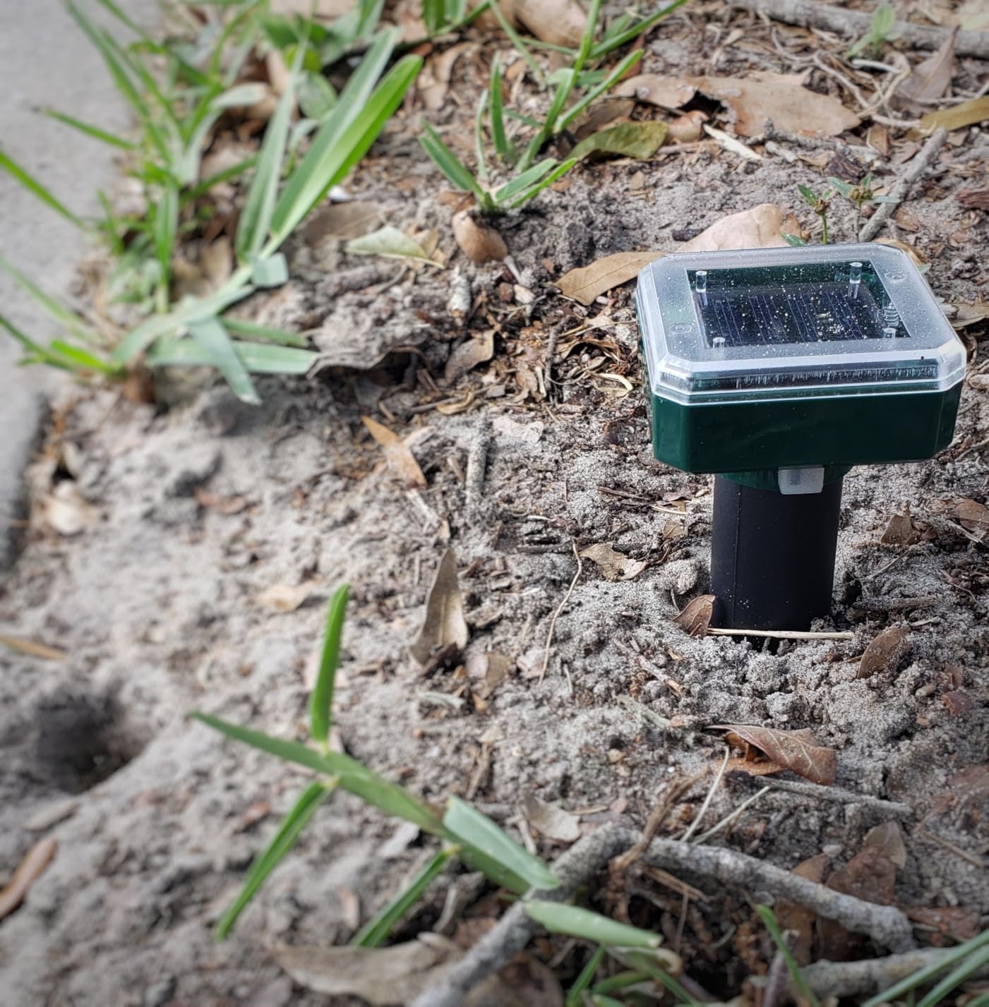 Solar Powered Ultrasonic Repeller 4-Pack - Customer Photo 1