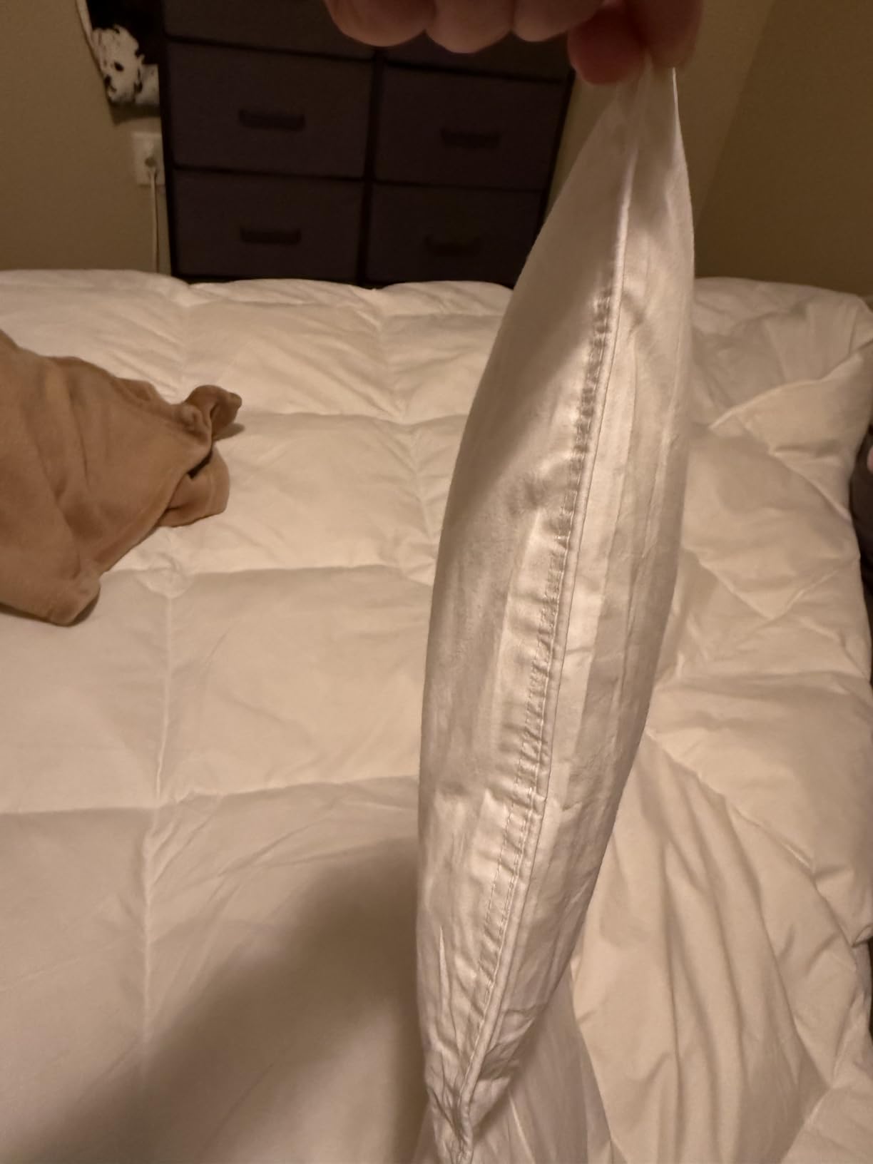 SHOUREN White Luxurious Goose Feather Down Fiber Comforter, All Season Hotel Collection Bed Comforter,Ultra Soft 100% Cotton Duvet Insert with Corner Tabs, Queen Size 90