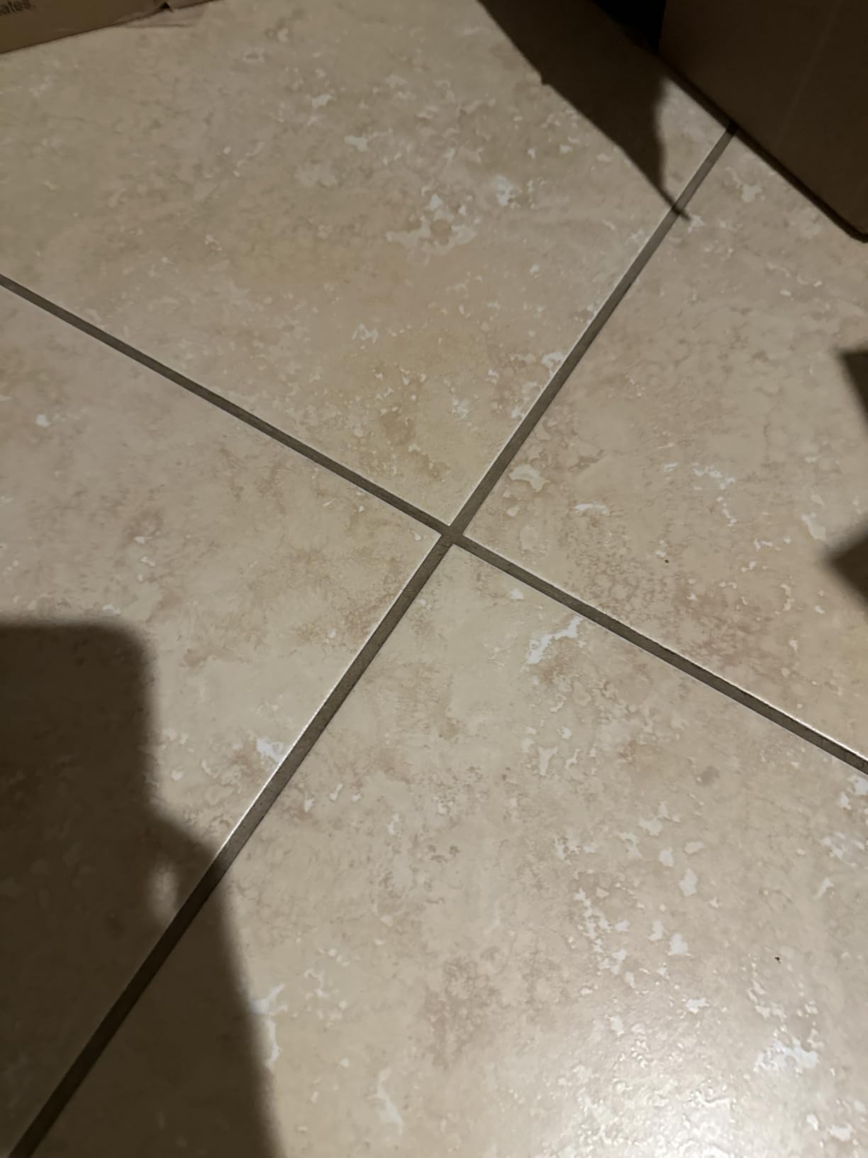 Dupray Neat Steam Cleaner with 22-Piece Accessory Kit – Versatile, Portable Steamer for Floors, Upholstery, Tiles, and More, removes 99.9% of Bacteria & Viruses* (incl. x6 Triangle Bonnets) - Customer Photo 1