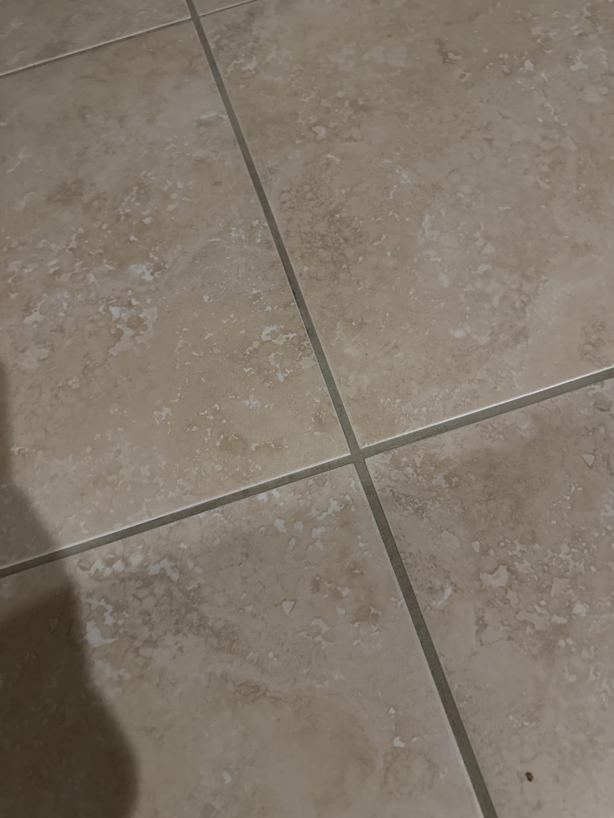 Dupray Neat Steam Cleaner with 22-Piece Accessory Kit – Versatile, Portable Steamer for Floors, Upholstery, Tiles, and More, removes 99.9% of Bacteria & Viruses* (incl. x6 Triangle Bonnets) - Customer Photo 2