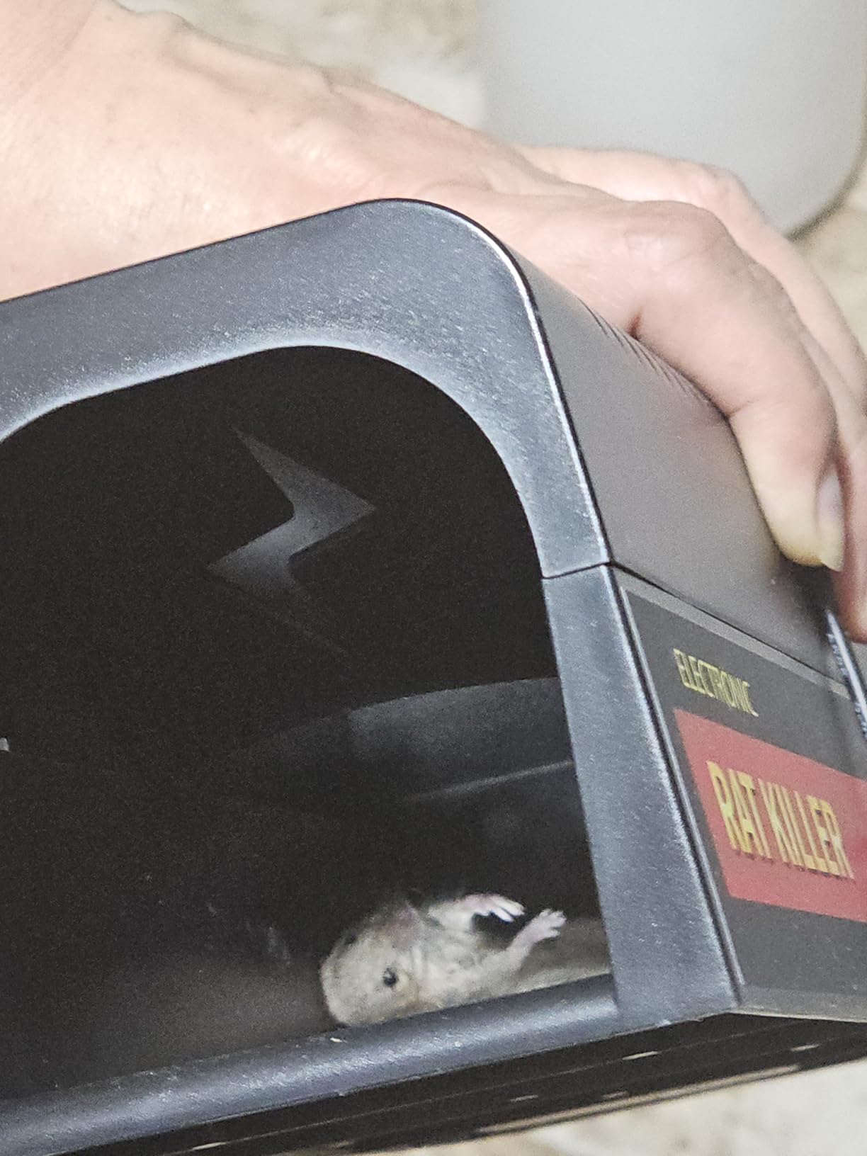 2 Pack Electric Mouse Traps Indoor for Home, Reusable No-Touch Electric Mouse Trap Zapper with Powerful Voltage Effectively Kills Mice in Living Rooms, Kitchens, Garages, and More - Customer Photo 2