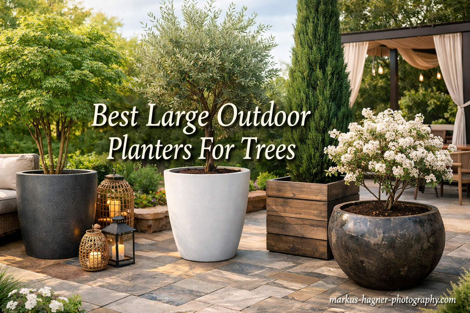 Best Large Outdoor Planters for Trees