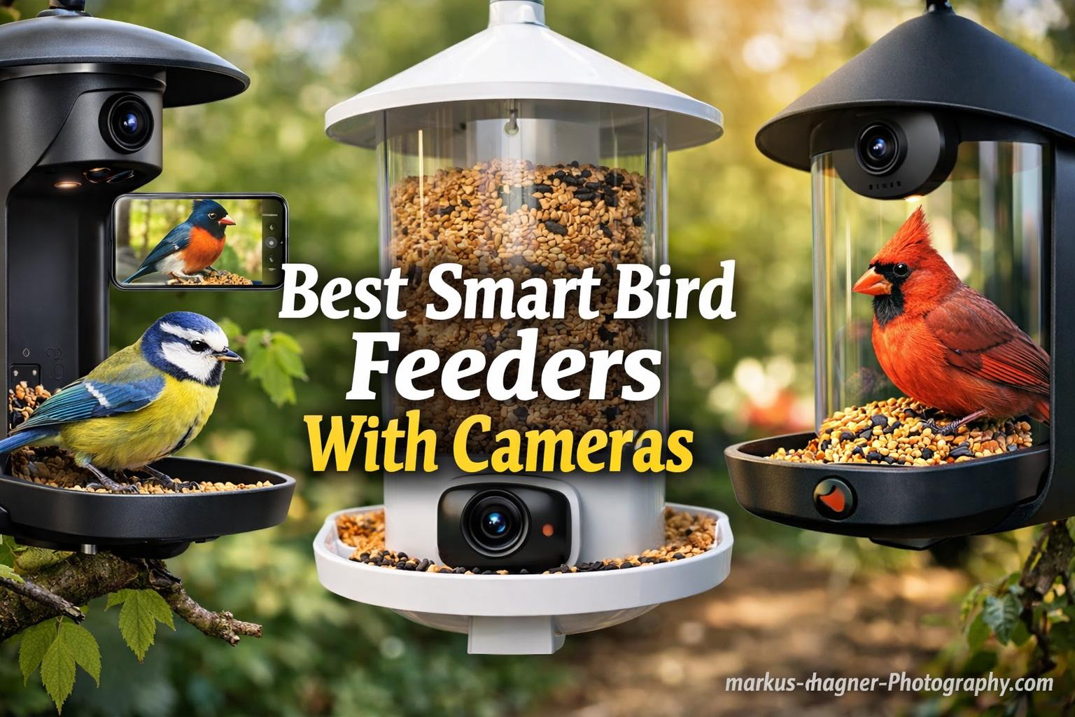 Best Smart Bird Feeders With Cameras