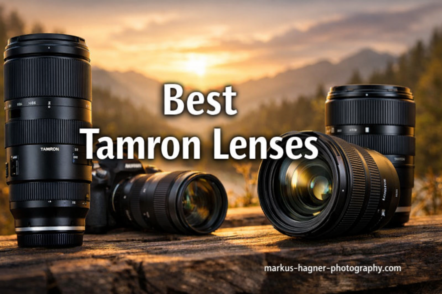 Best Tamron Lenses
