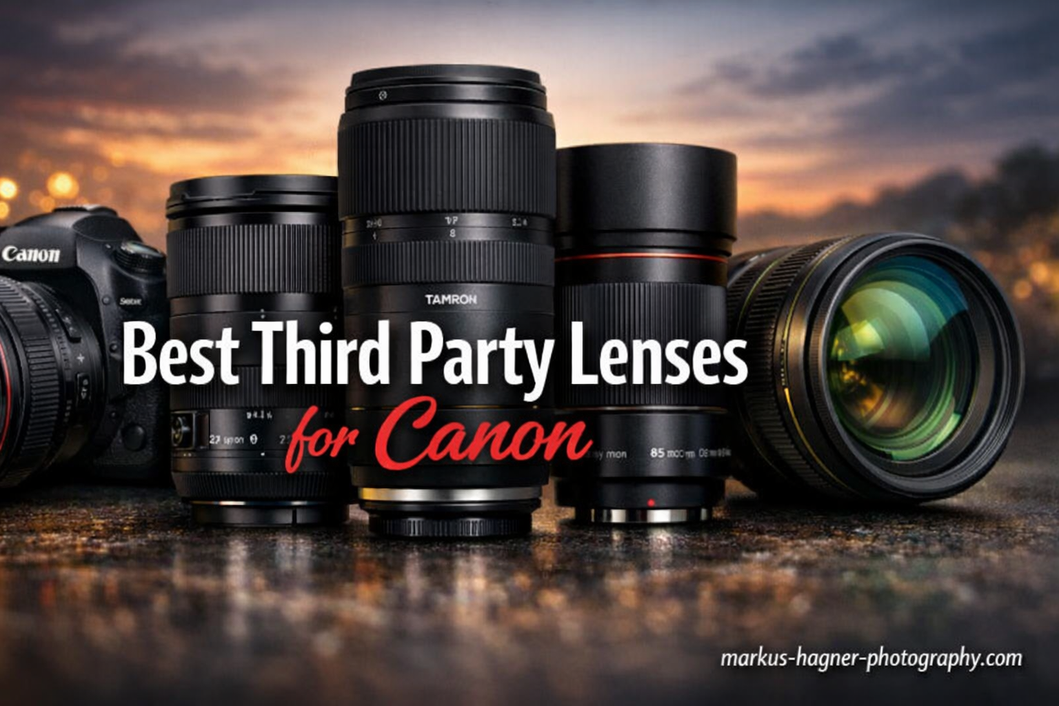 Best Third Party Lenses for Canon
