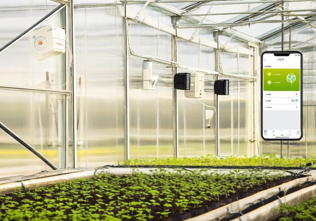 Best Smart Greenhouse Controllers: 10 Models Tested for Automation - markus-hagner-photography
