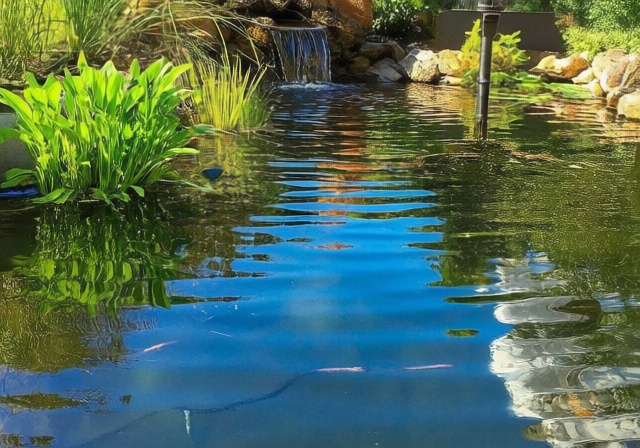 Best Submersible Pumps for Garden Ponds 2026: 10 Top-Rated Models - markus-hagner-photography