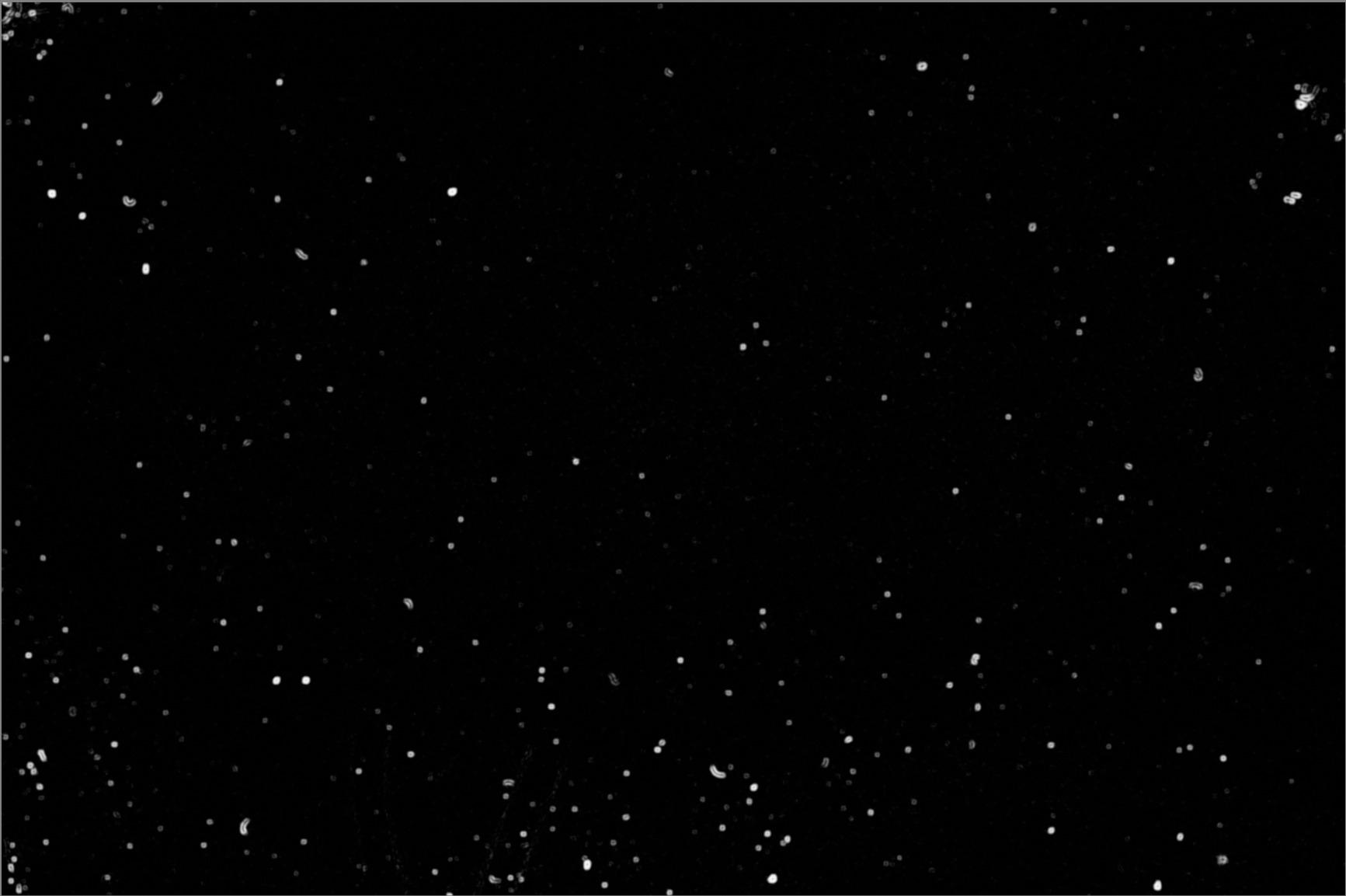 Celestron 93575 LensPen Optics Cleaning Tool, Black customer photo 1