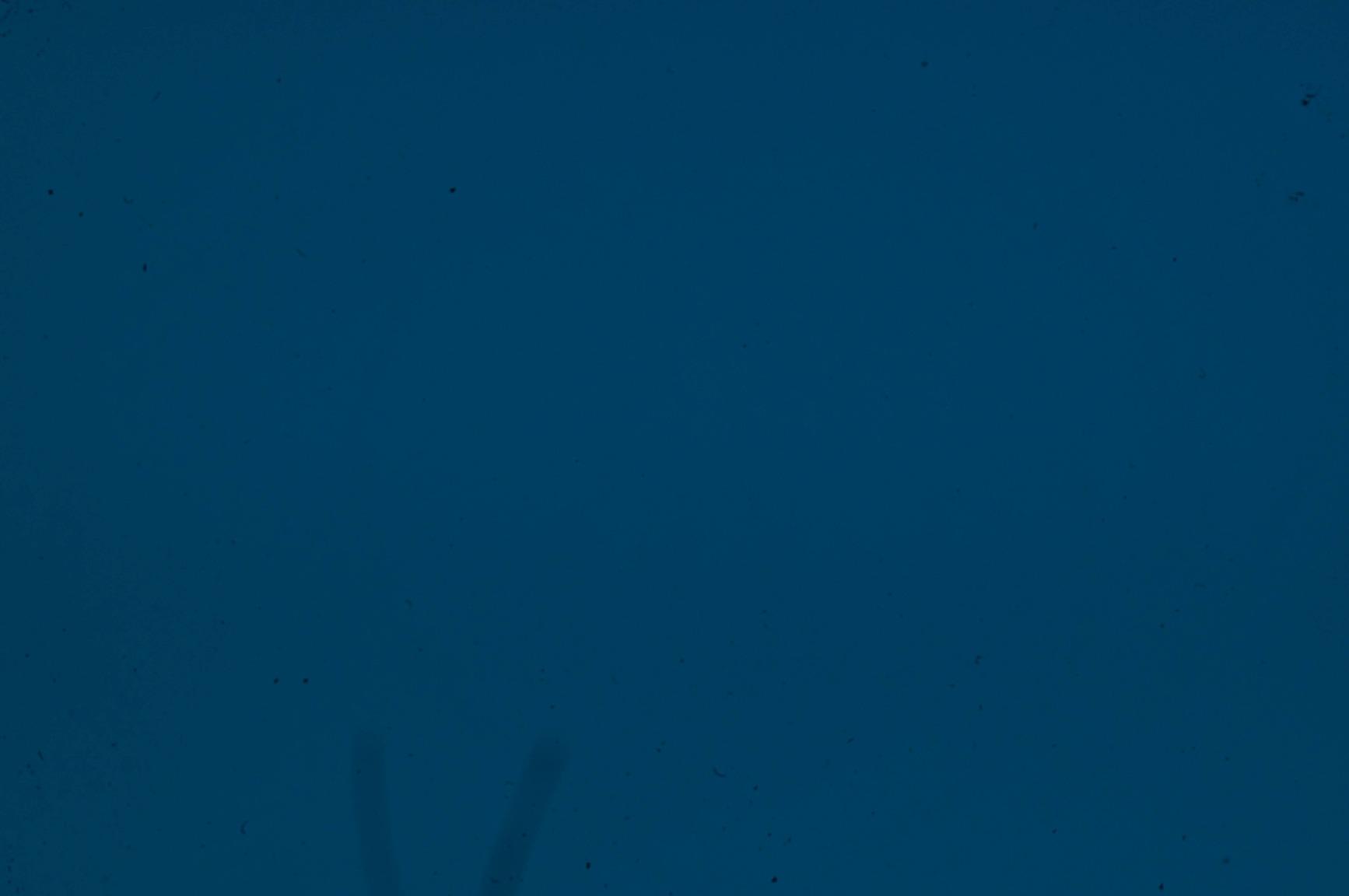 Celestron 93575 LensPen Optics Cleaning Tool, Black customer photo 2